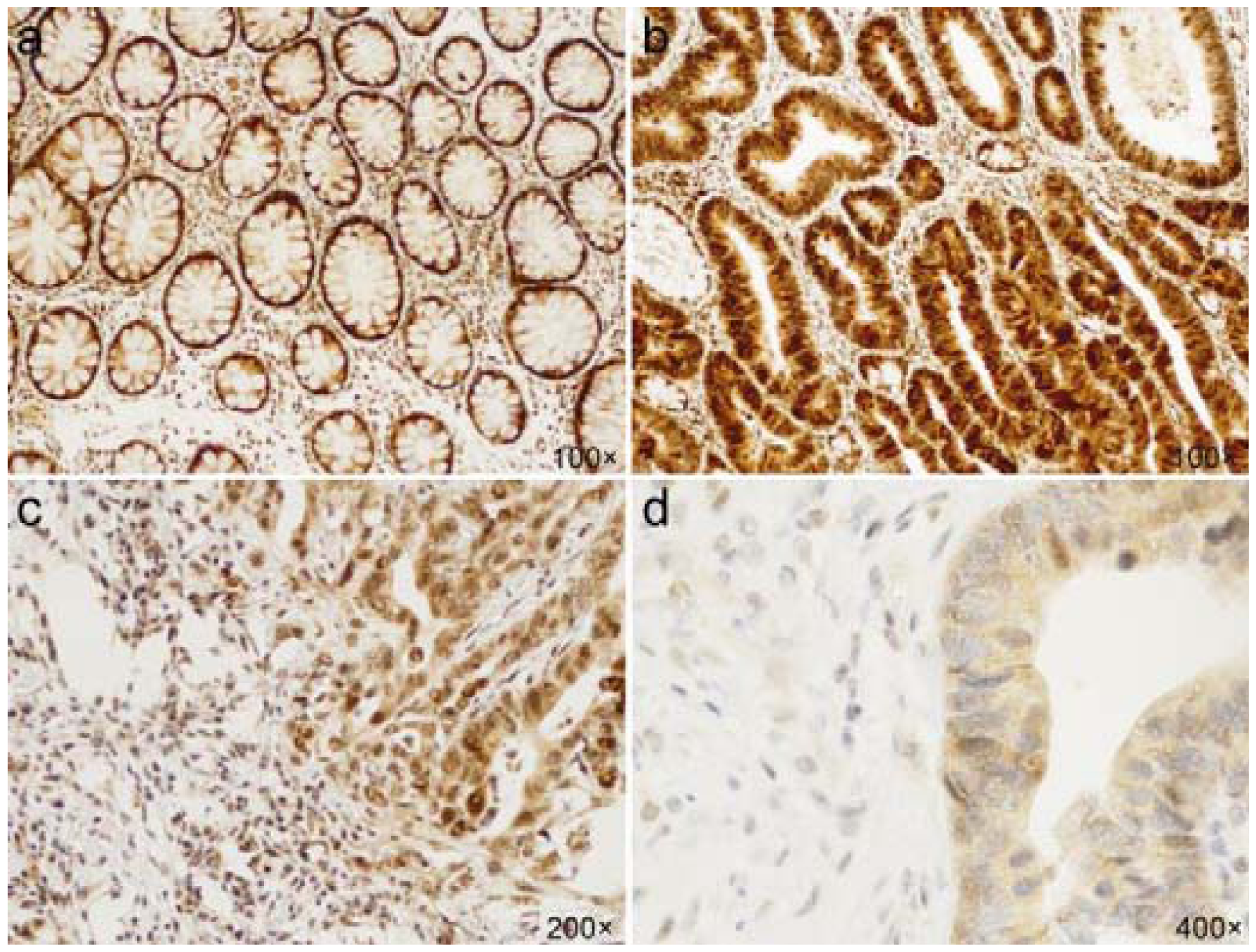 Ijms 13 01632f2 1024