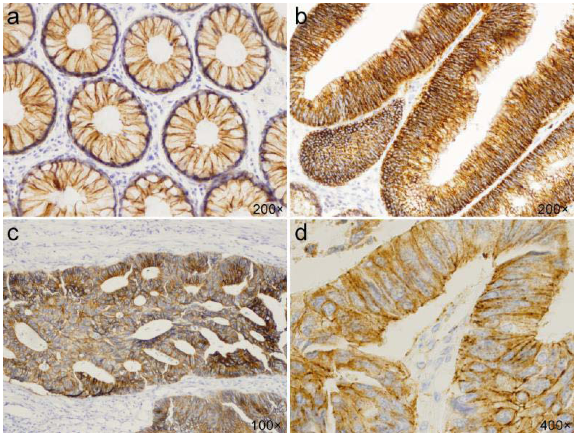 Ijms 13 01632f5 1024