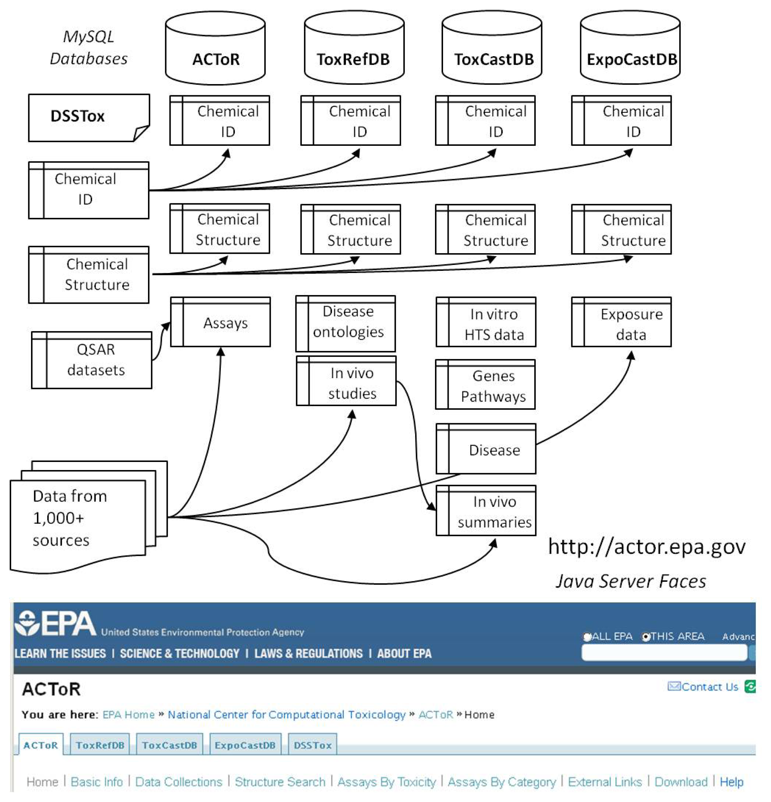 Aggregating Data for Computational Toxicology Applications: The 