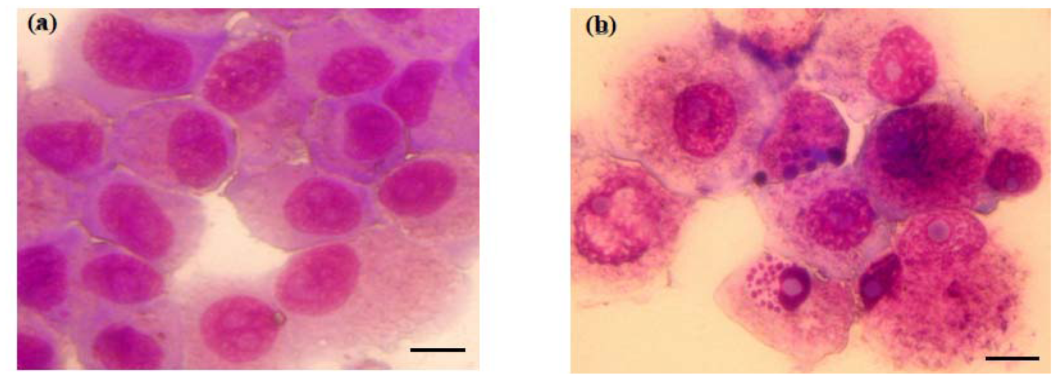 Ijms 13 02025f2 1024