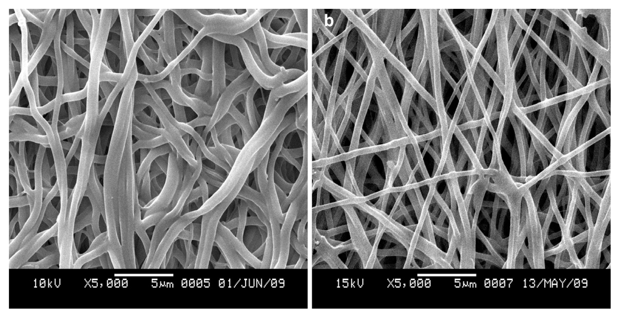 Ijms 13 02036f3 1024