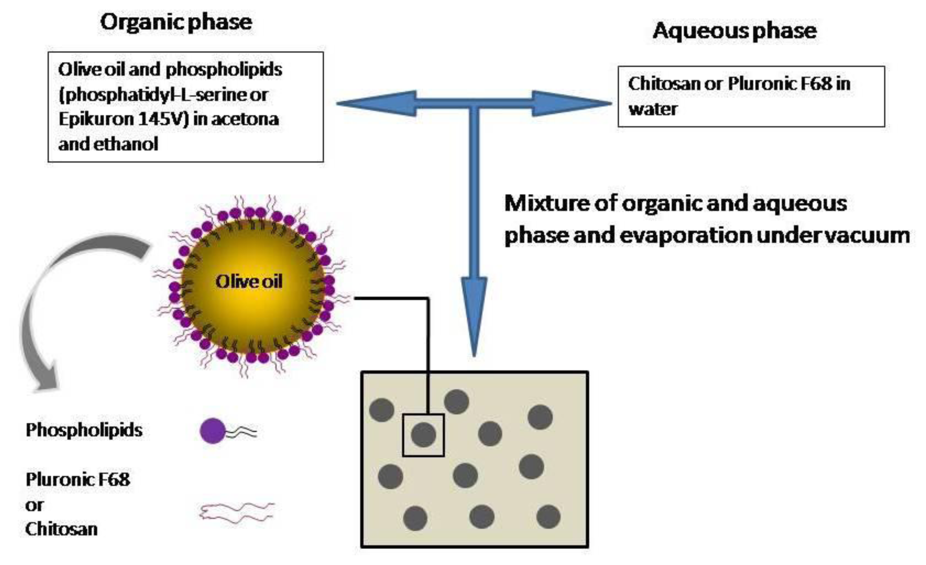 Ijms 13 02405f9 1024
