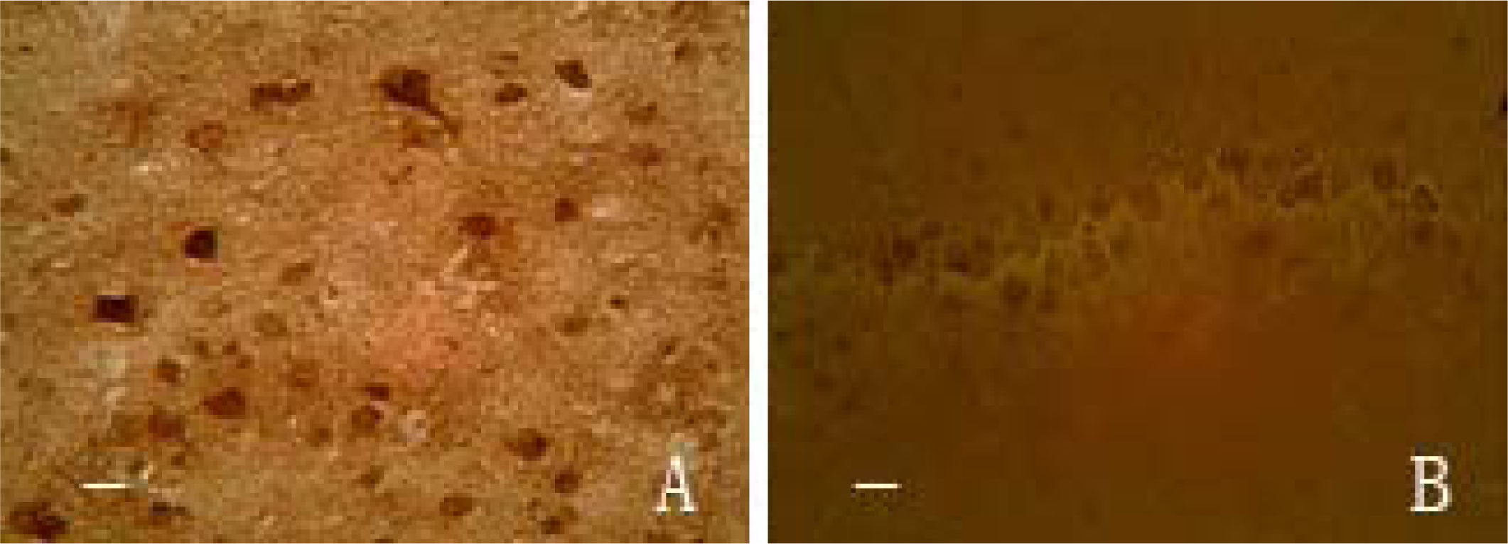 Ijms 13 02551f2 1024