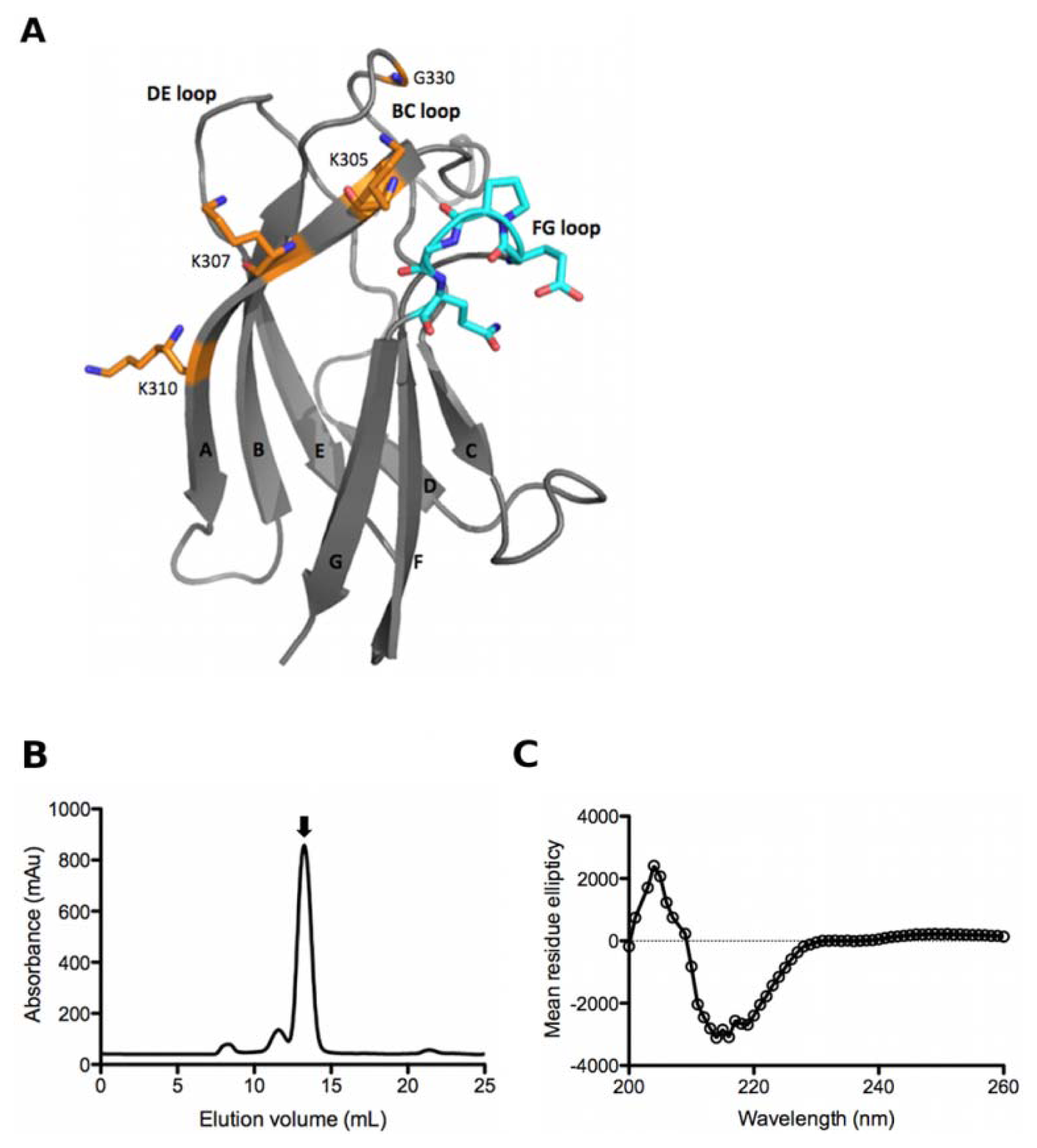 Ijms 13 02618f1 1024