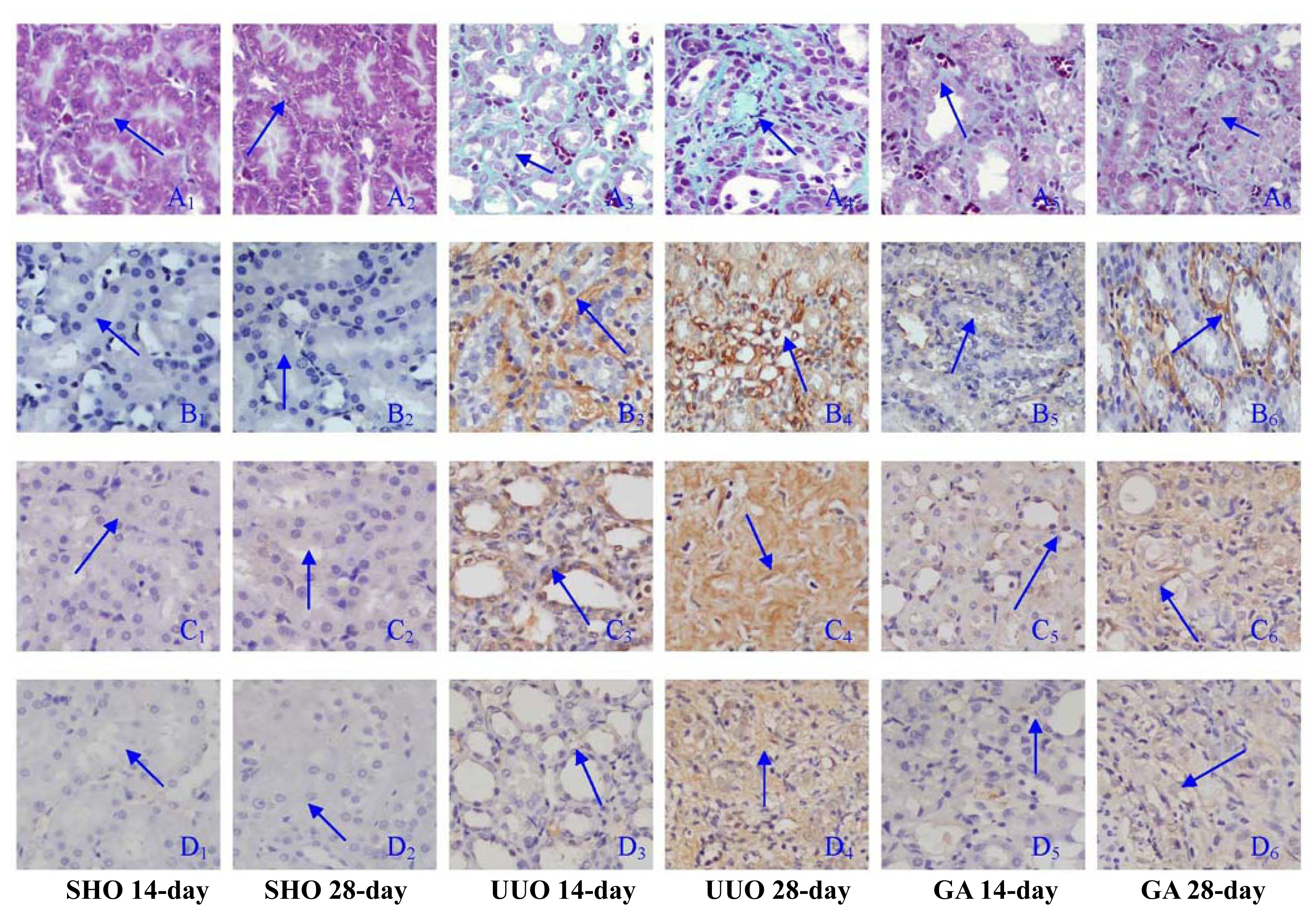 Ijms 13 02769f1b 1024