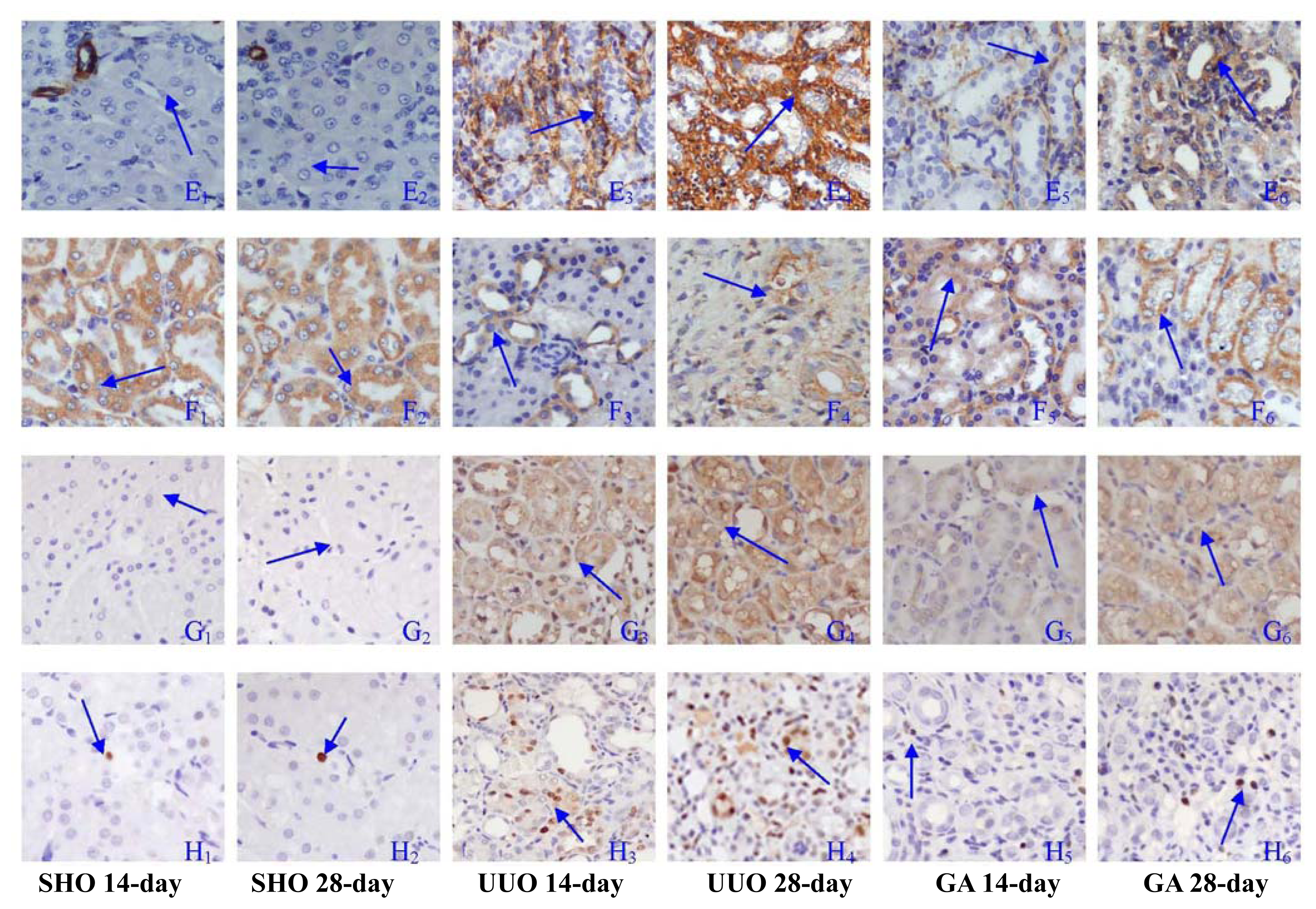 Ijms 13 02769f2b 1024