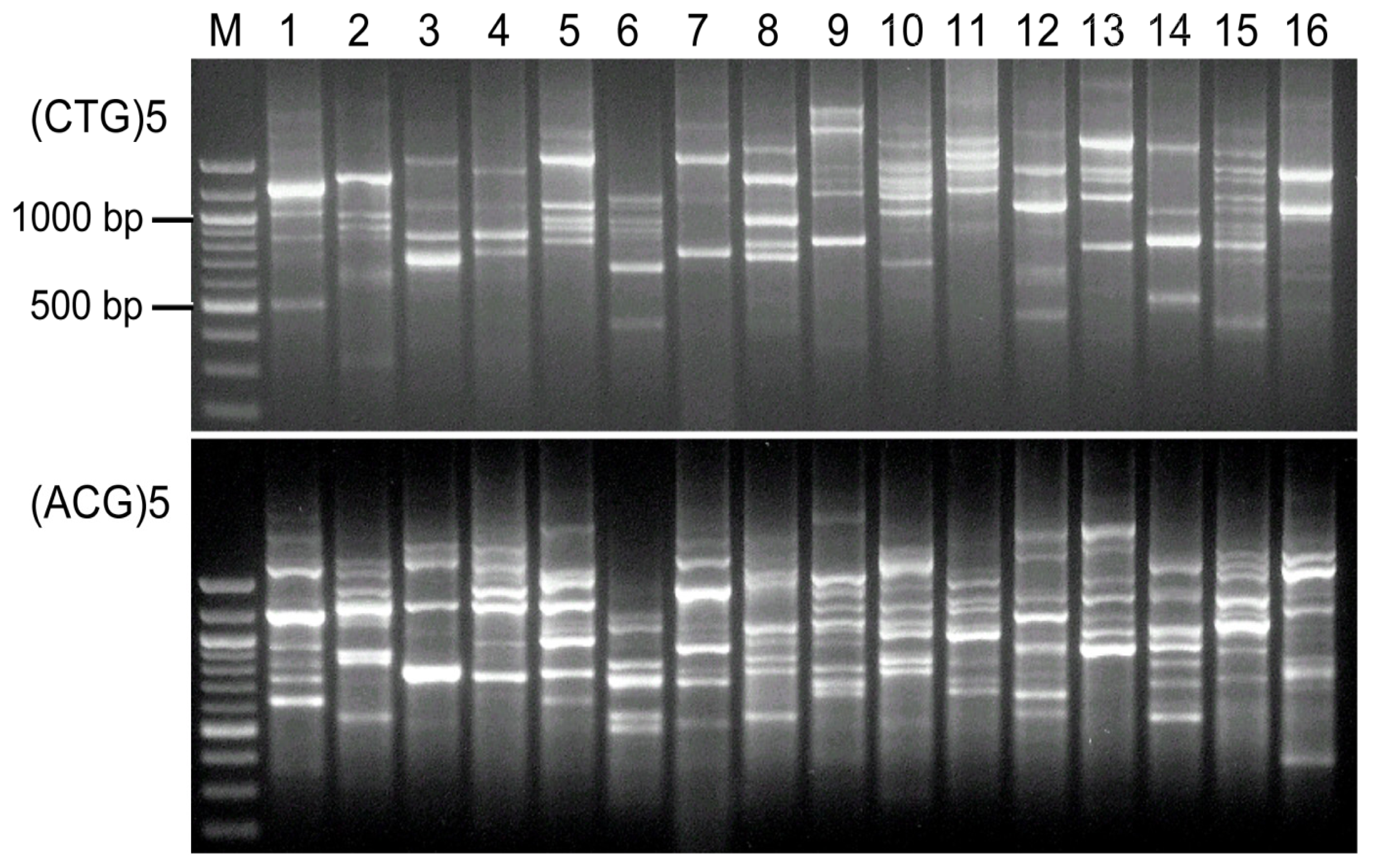 Ijms 13 02951f1 1024