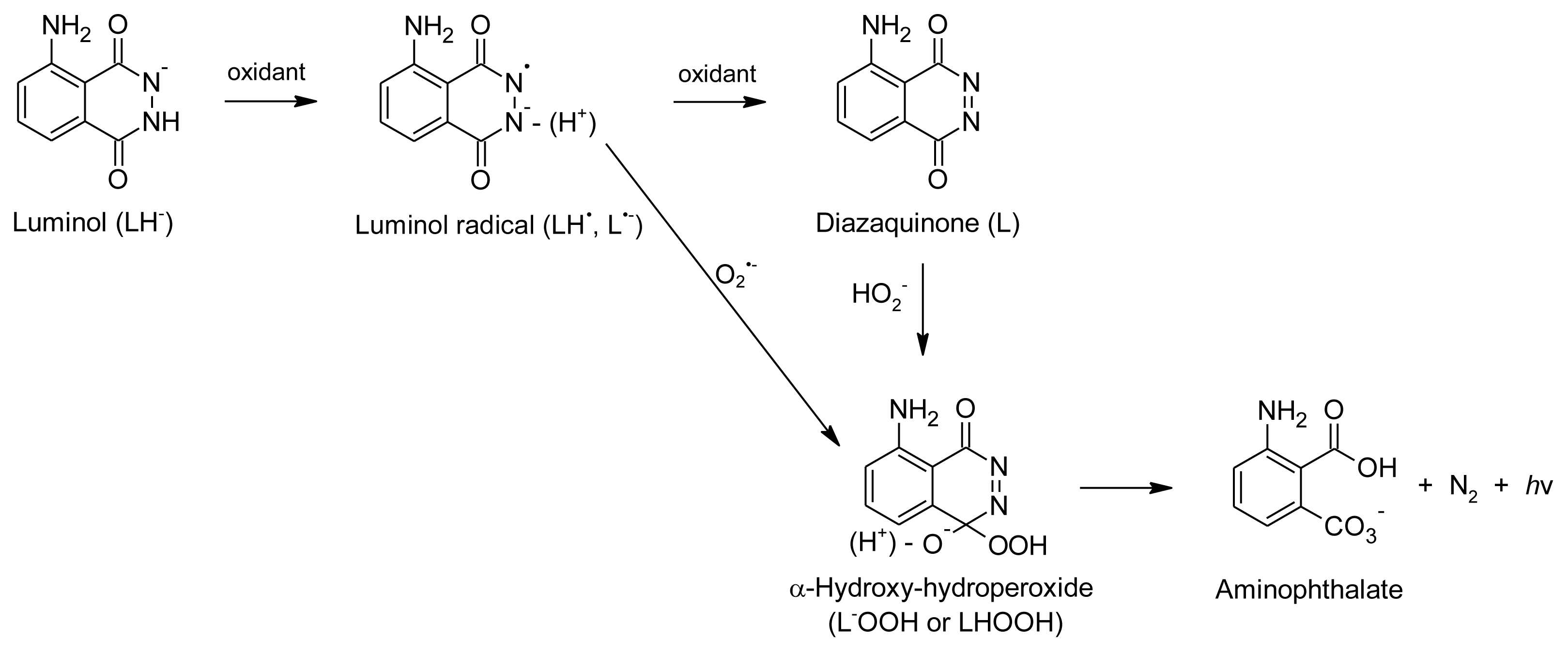 Ijms 13 03101f3 1024
