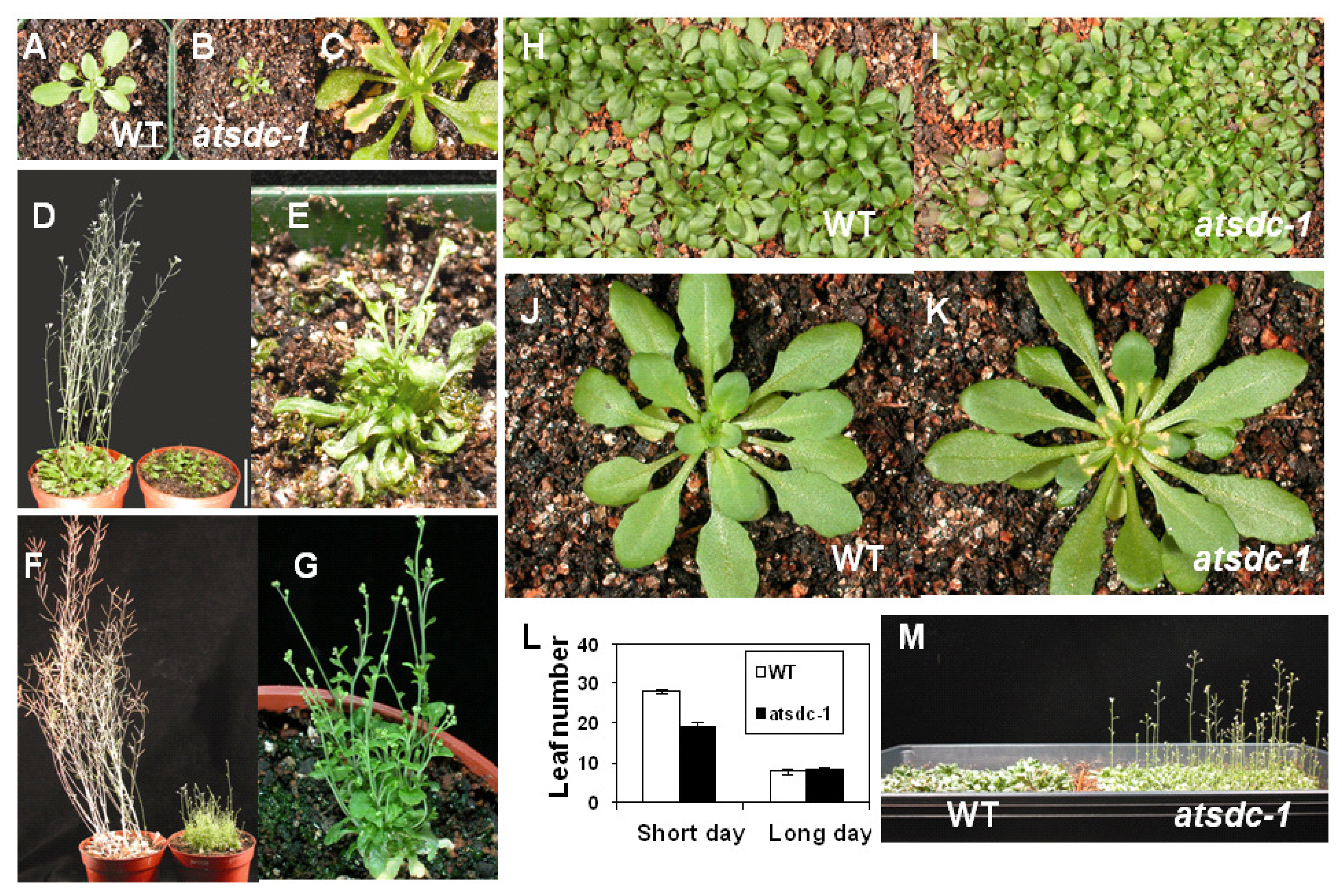 Ijms 13 03176f2 1024