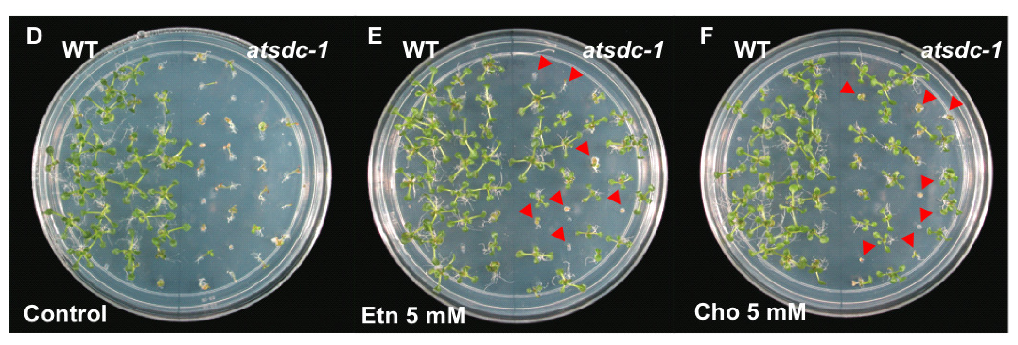 Ijms 13 03176f5b 1024