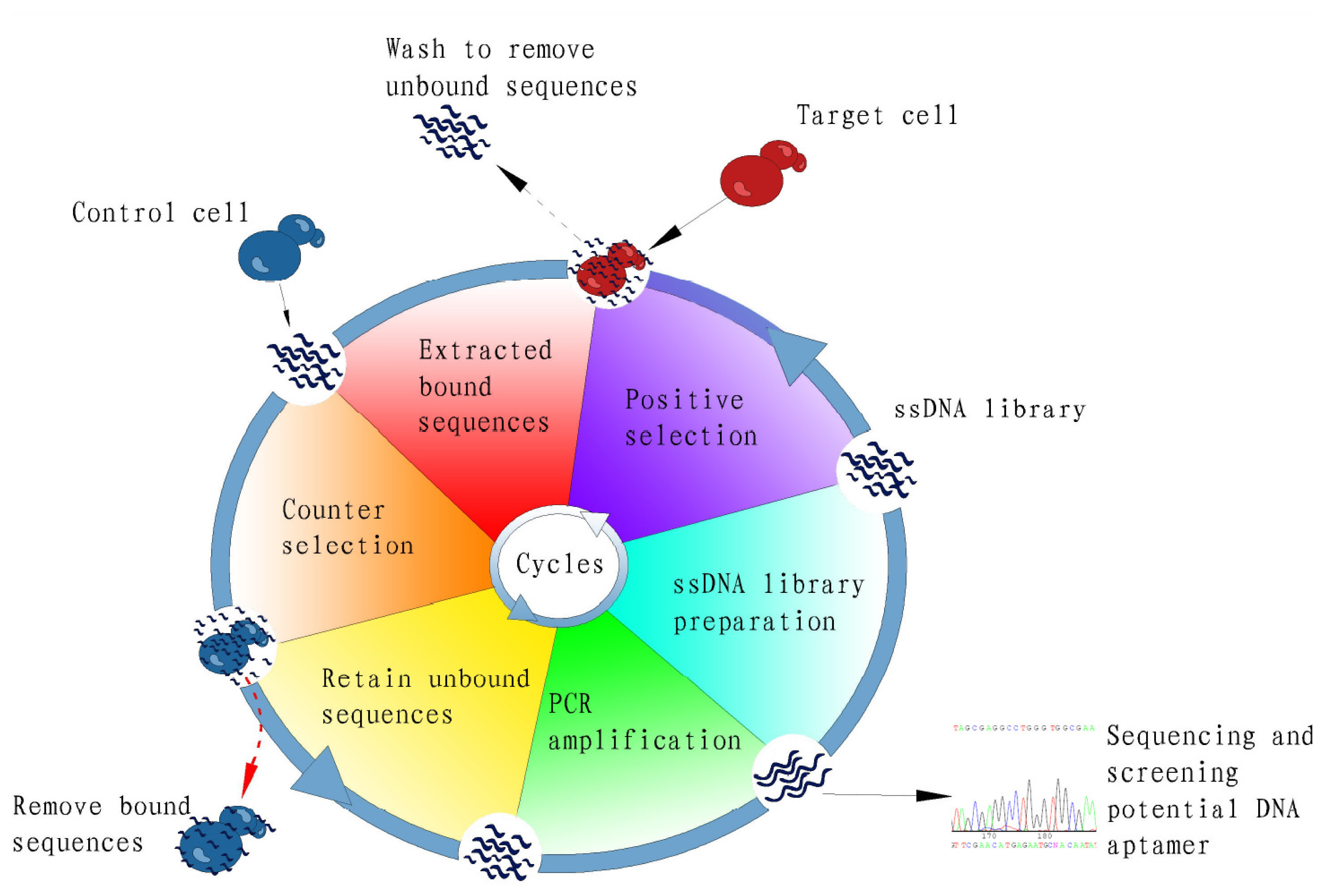 Ijms 13 03341f1 1024