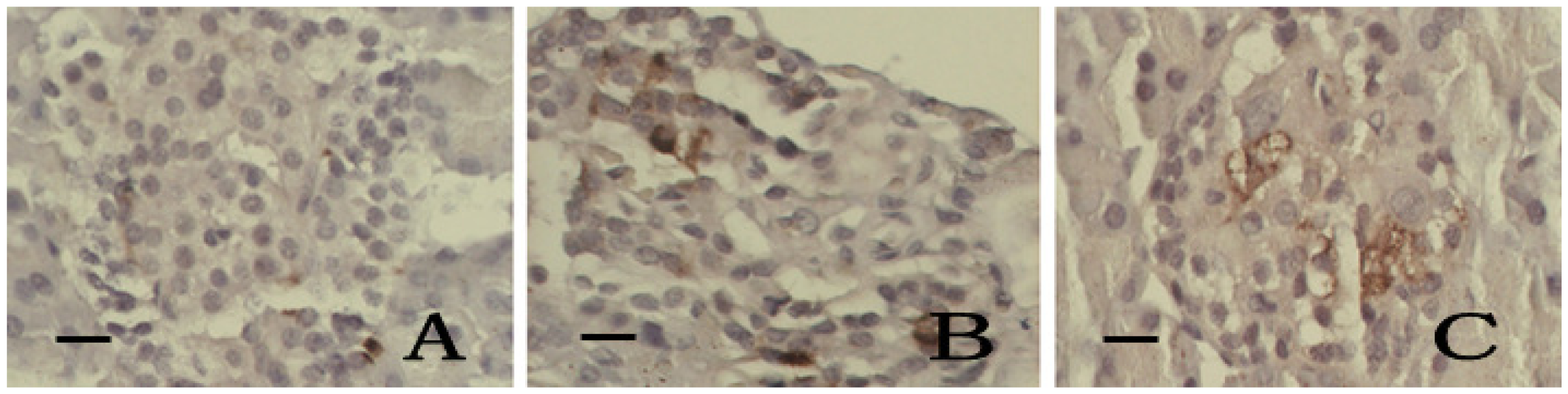 Ijms 13 03354f3
