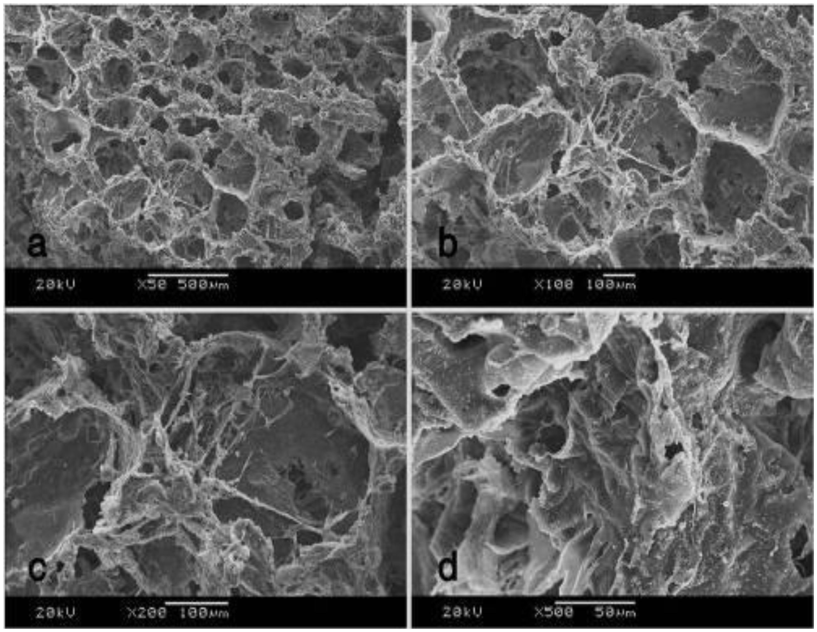 Ijms 13 03366f9 1024