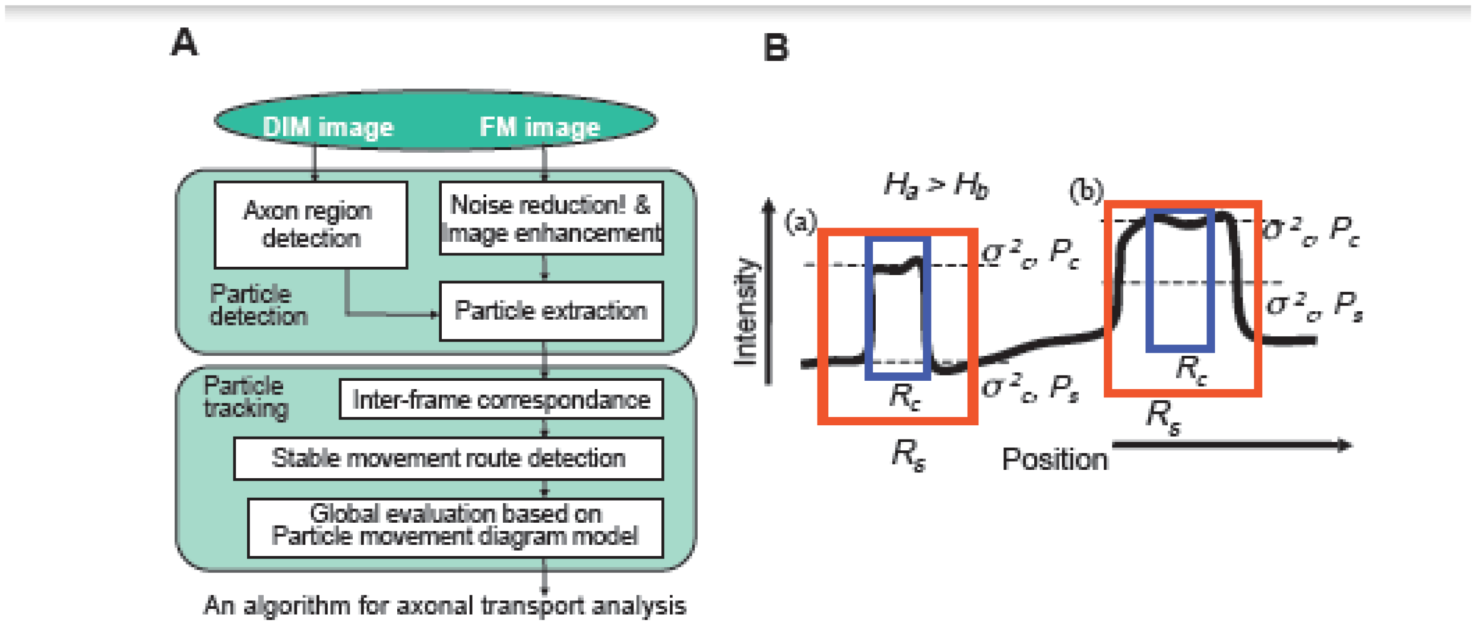 Ijms 13 03414f2a 1024