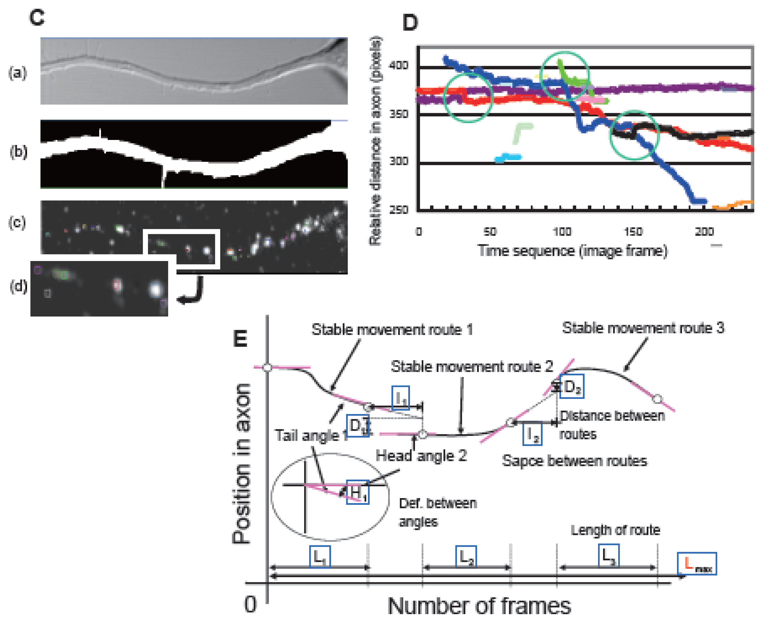 Ijms 13 03414f2b 1024