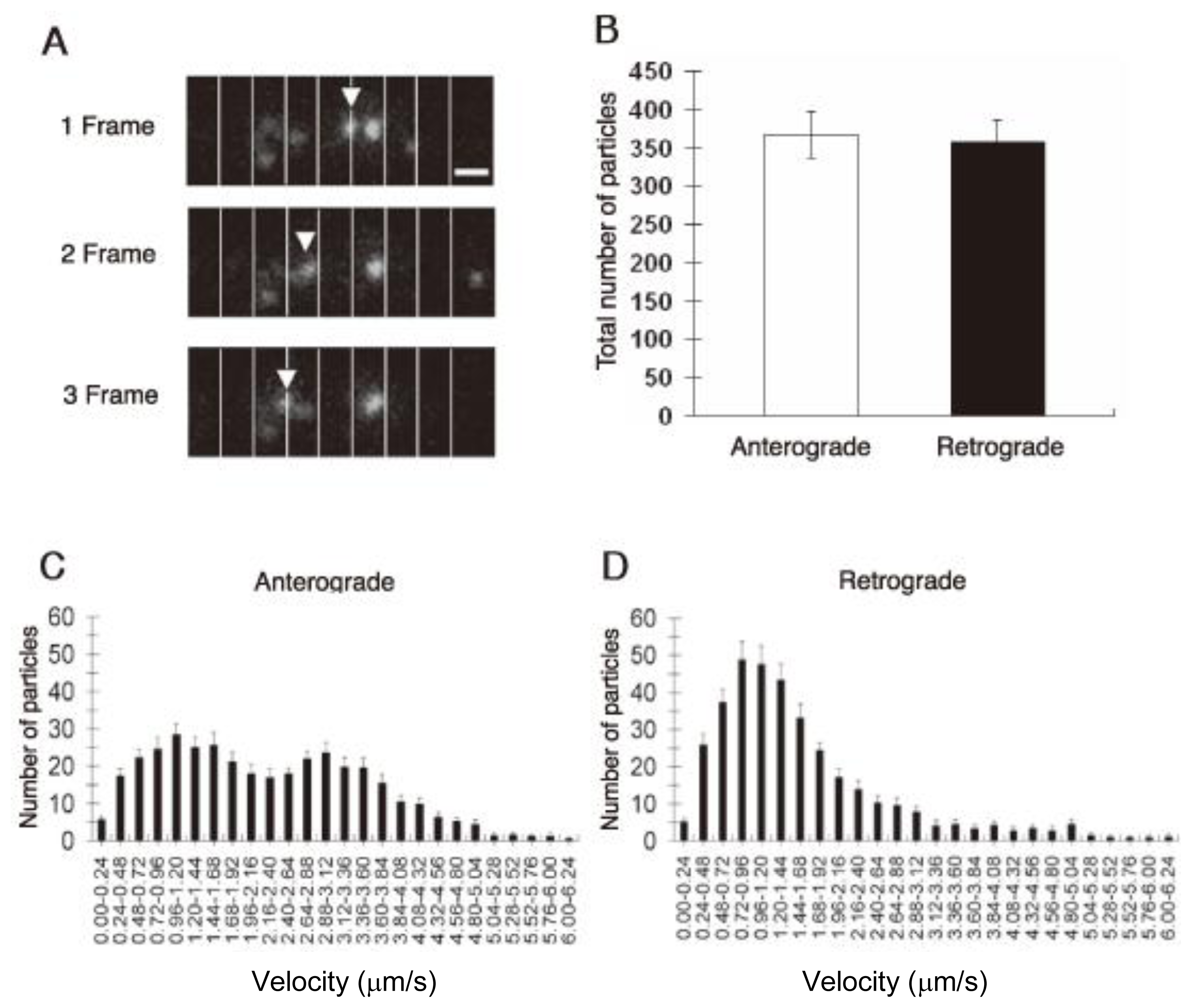 Ijms 13 03414f4 1024