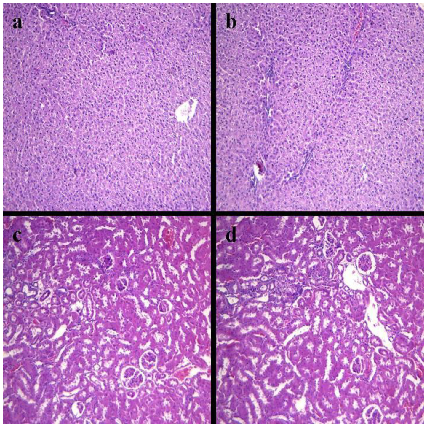 Ijms 13 03431f3 1024