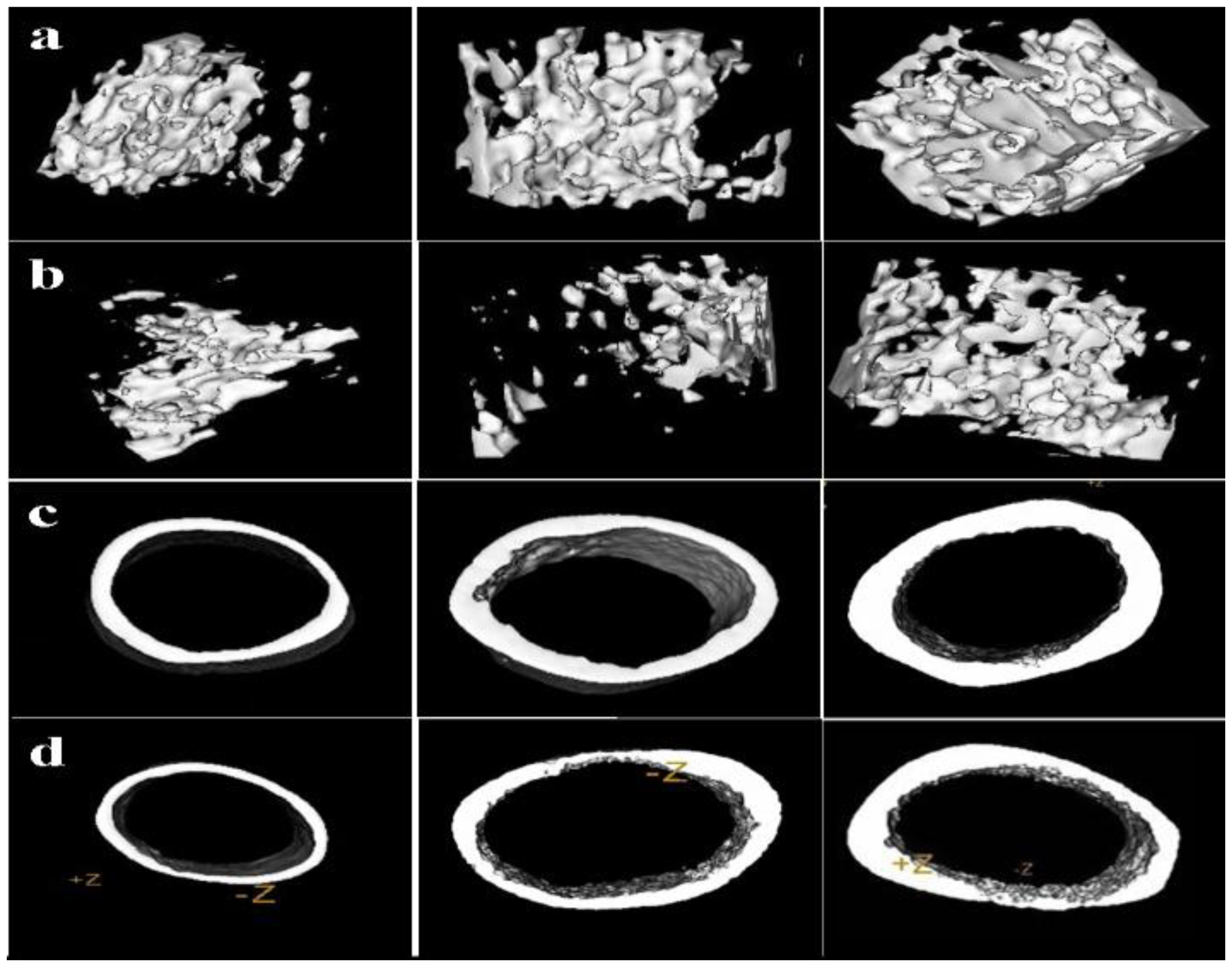 Ijms 13 03431f4 1024