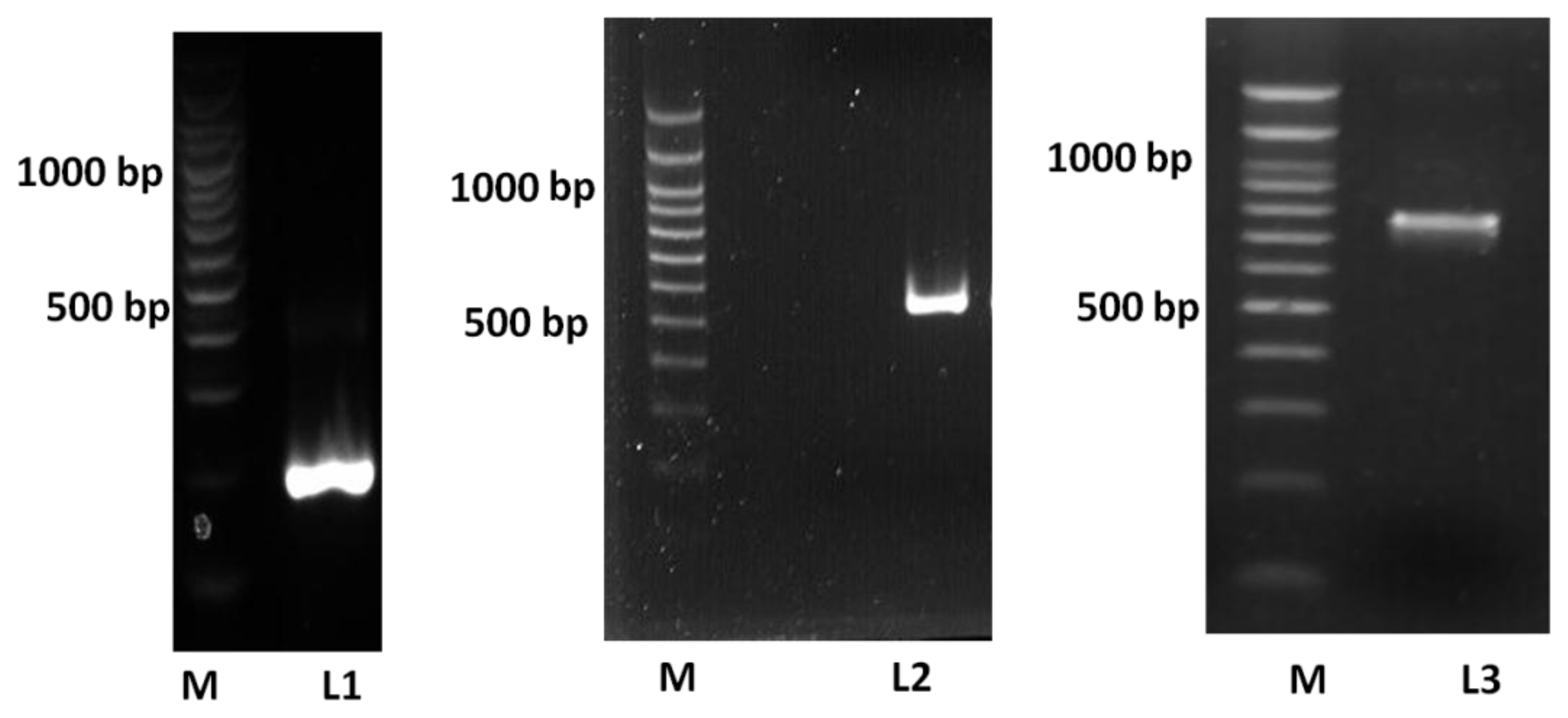 Ijms 13 03549f1 1024