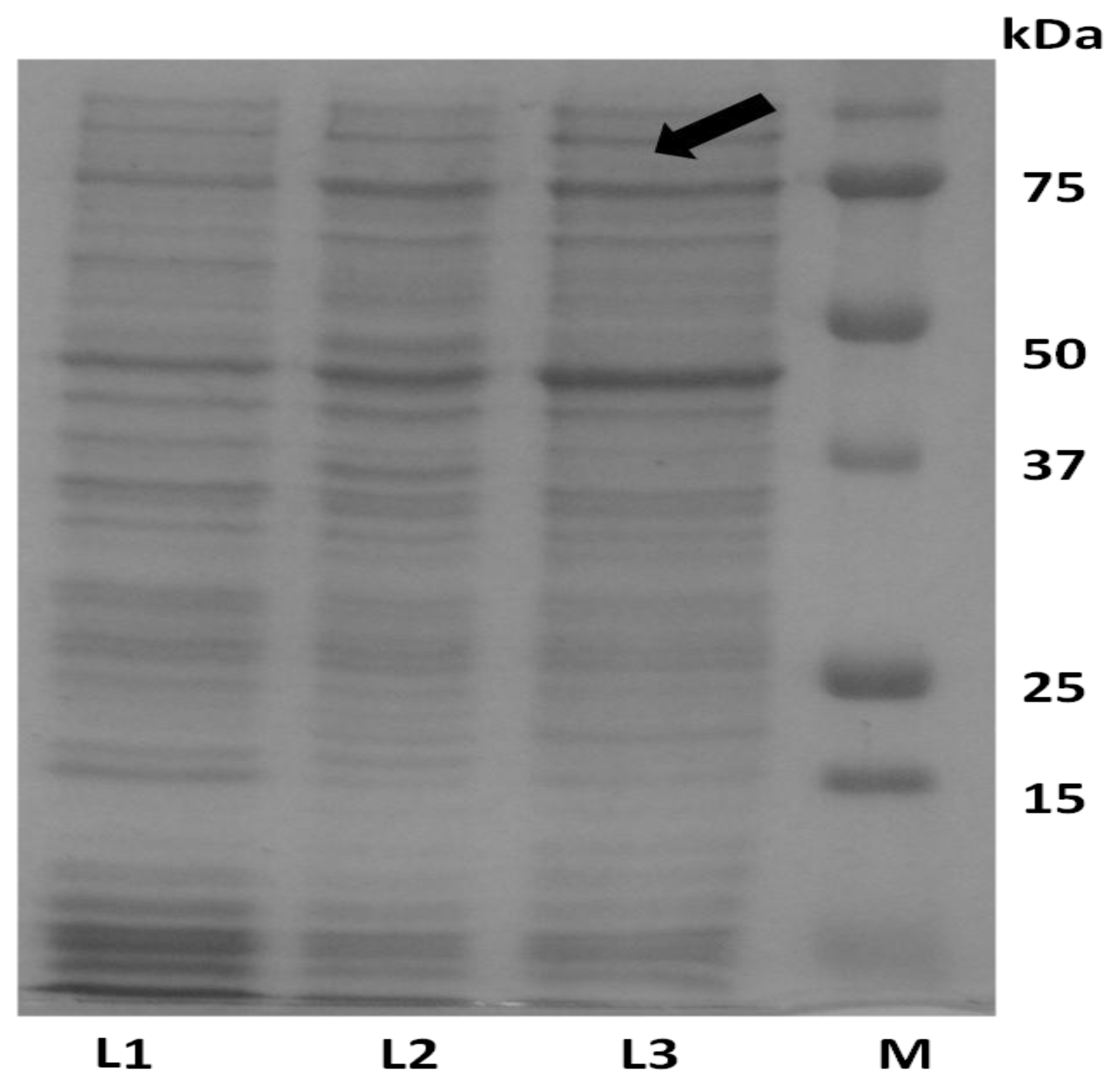 Ijms 13 03549f2 1024