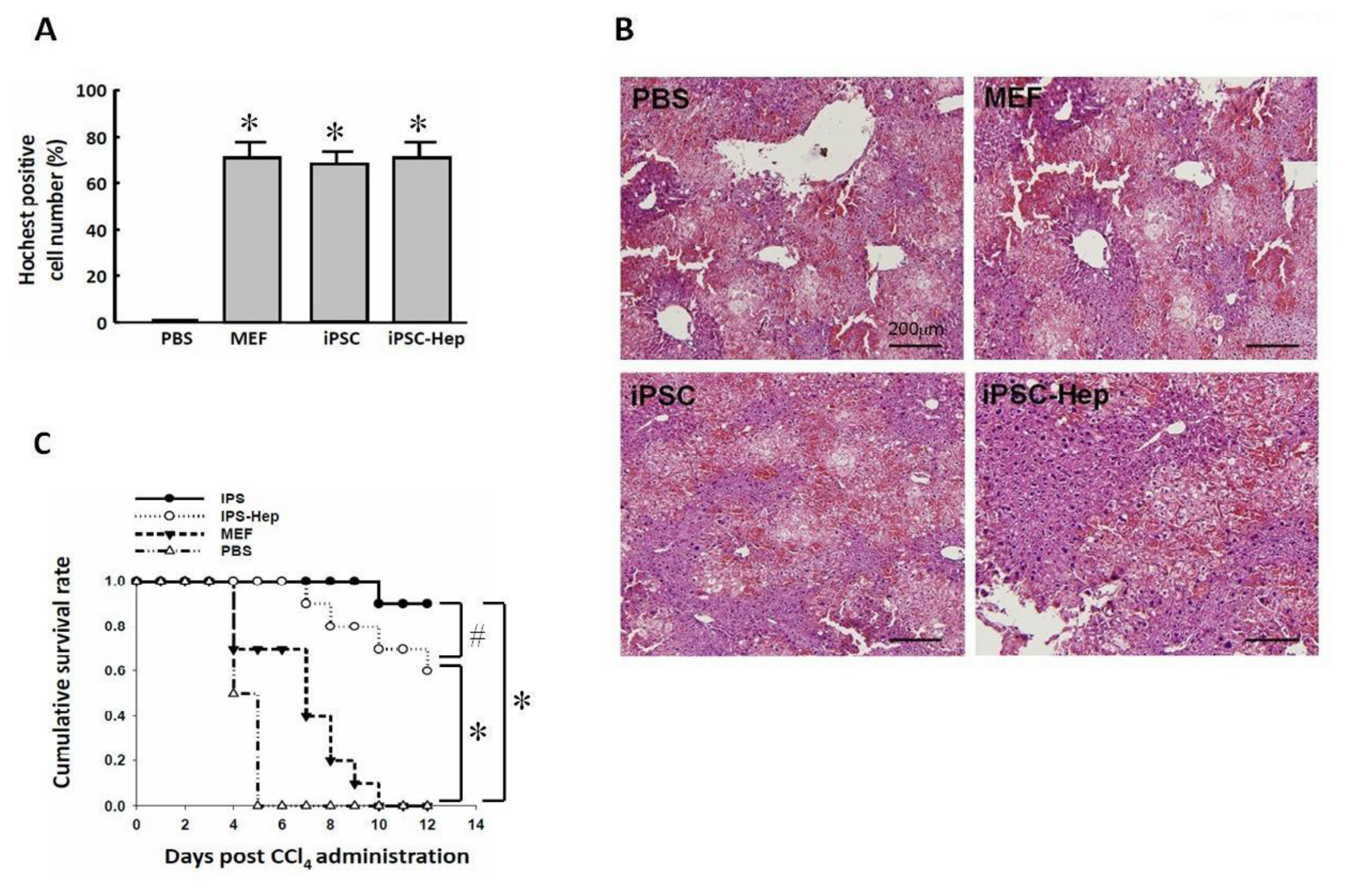 Ijms 13 03598f5 1024