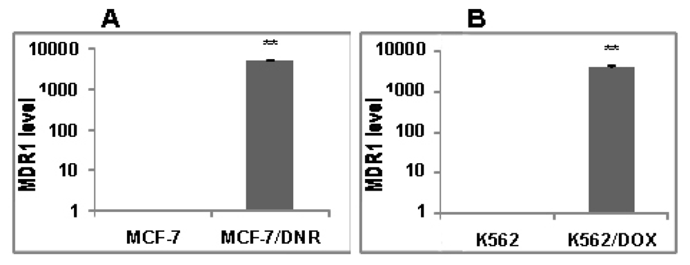 Ijms 13 03671f3 1024