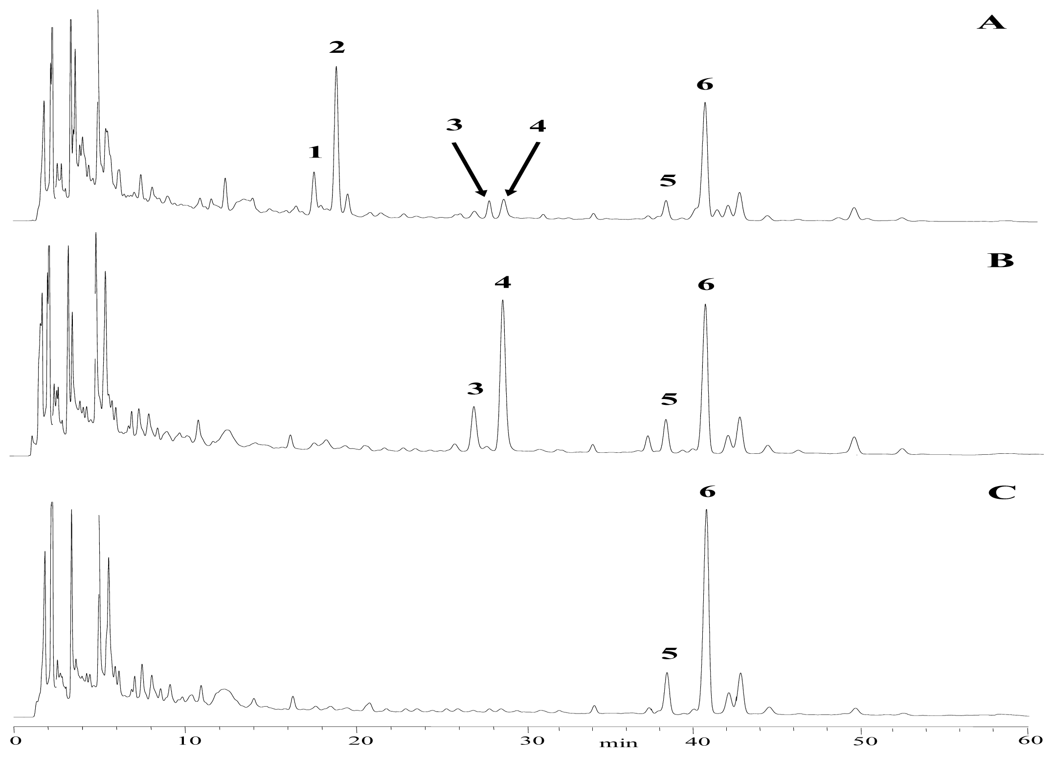 Ijms 13 04089f6 1024