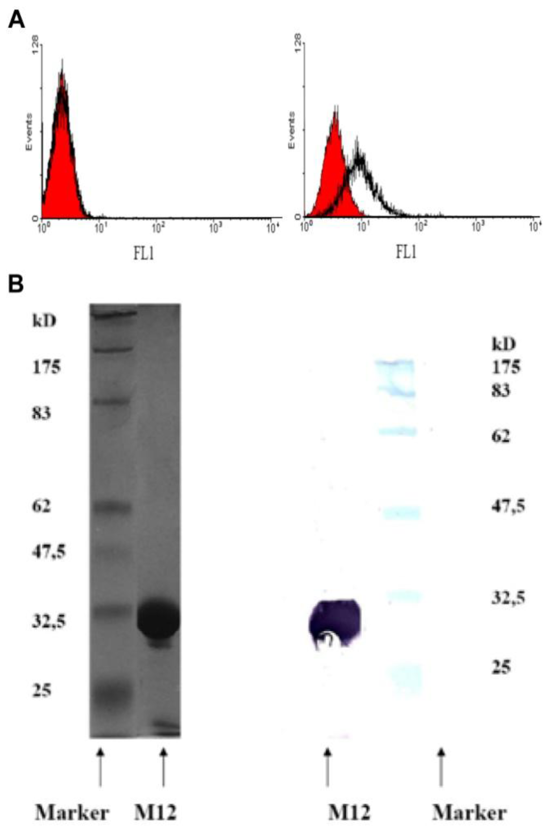 Ijms 13 04153f3 1024