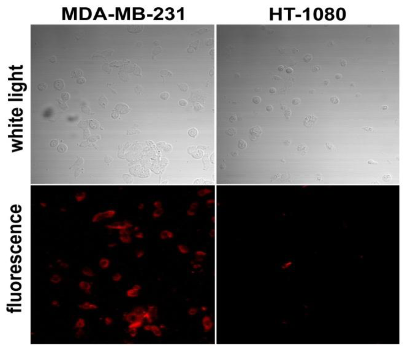 Ijms 13 04153f5 1024