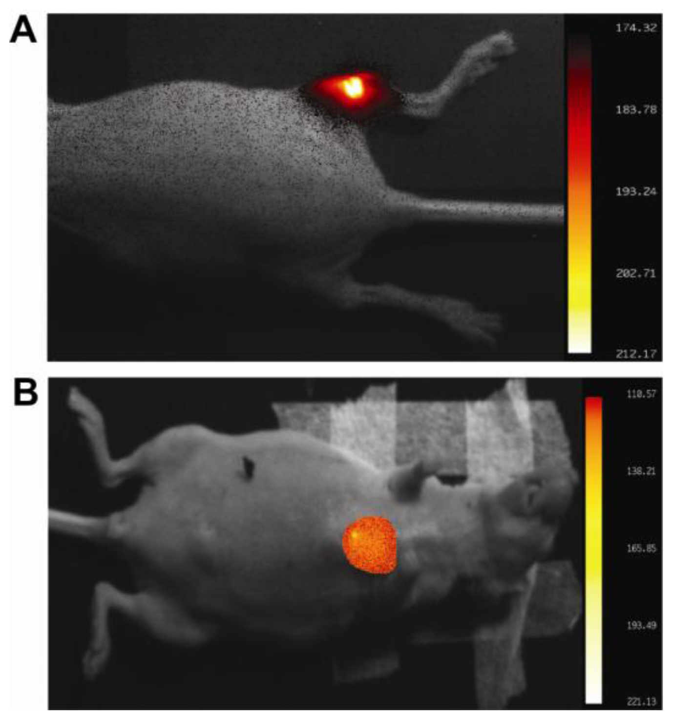 Ijms 13 04153f6 1024