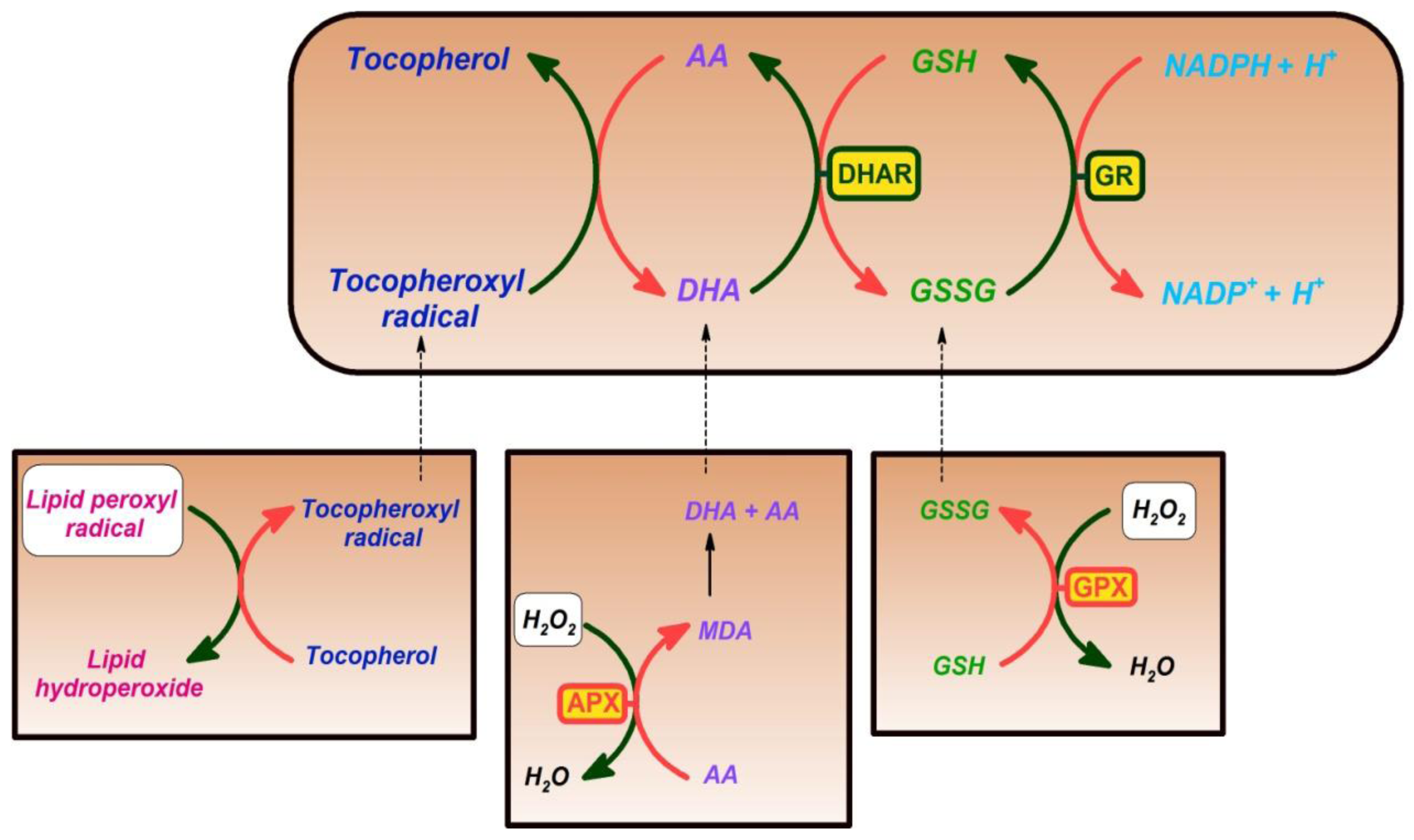 Ijms 13 04458f4 1024