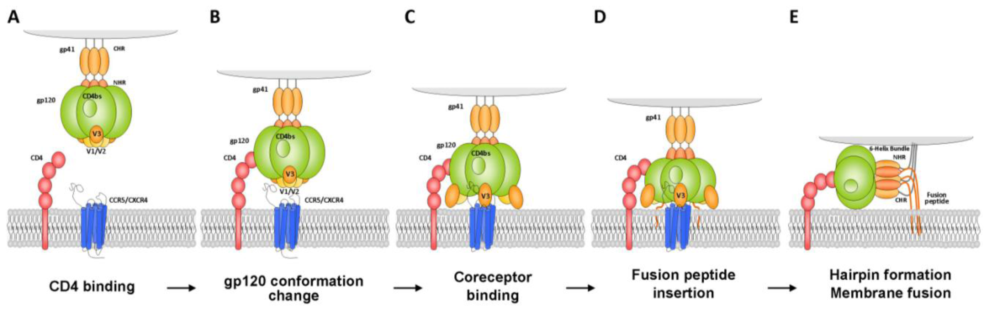Ijms 13 04727f1 1024