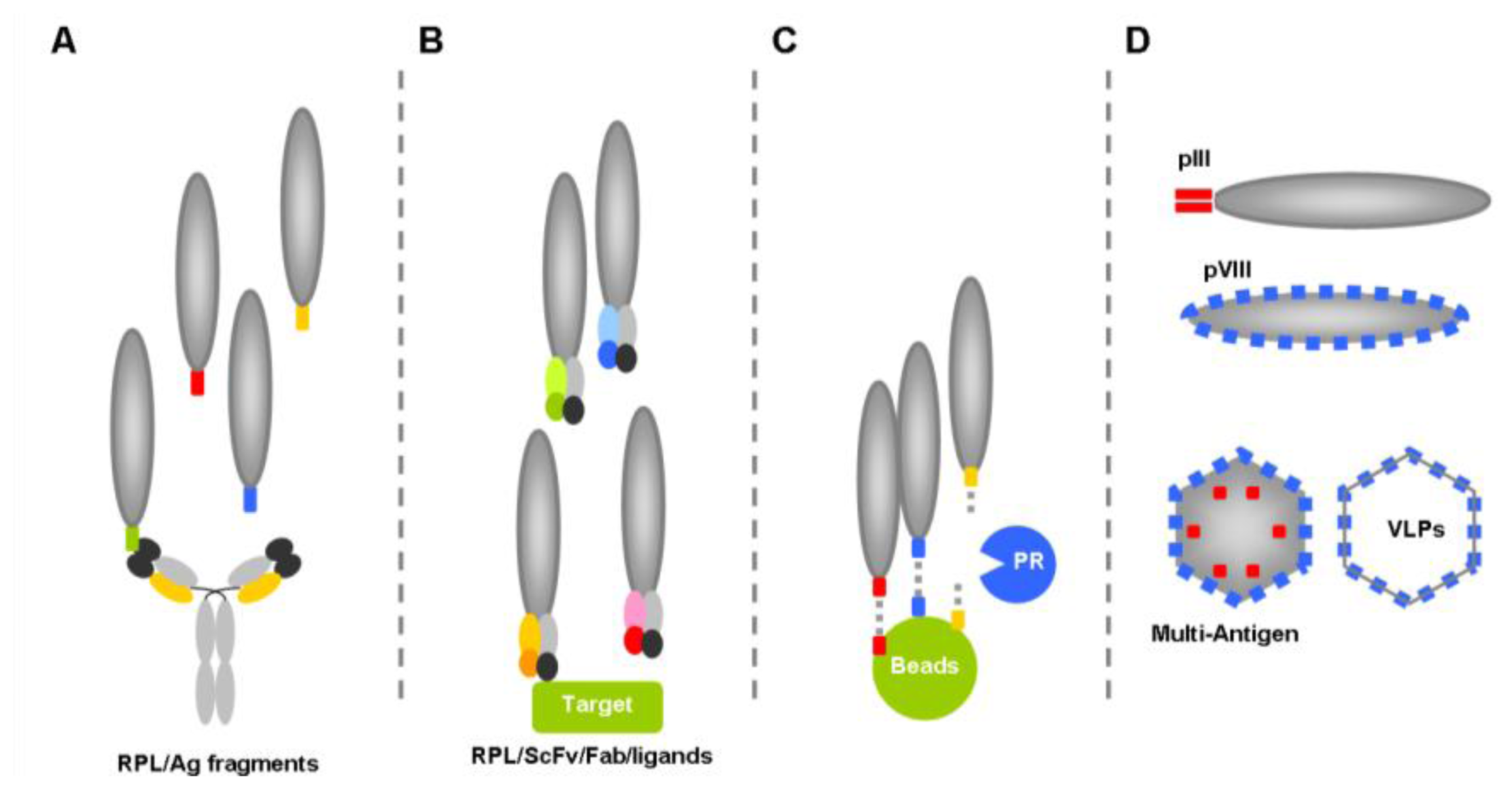 Ijms 13 04727f2 1024