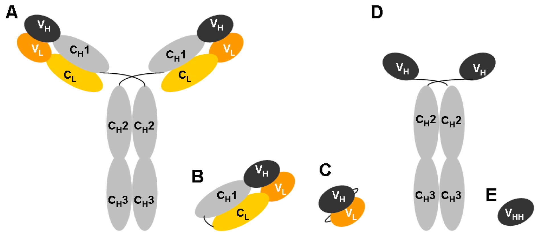 Ijms 13 04727f4 1024