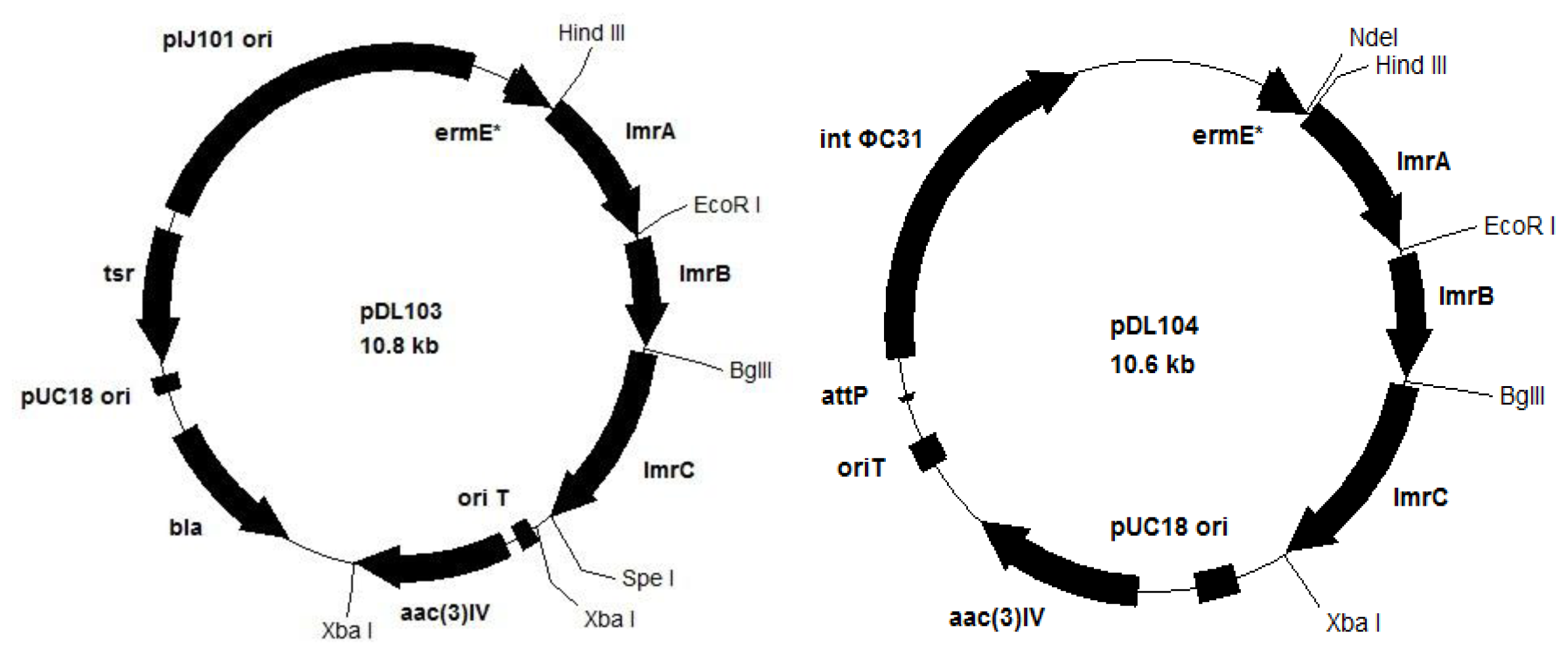 Ijms 13 04797f1 1024