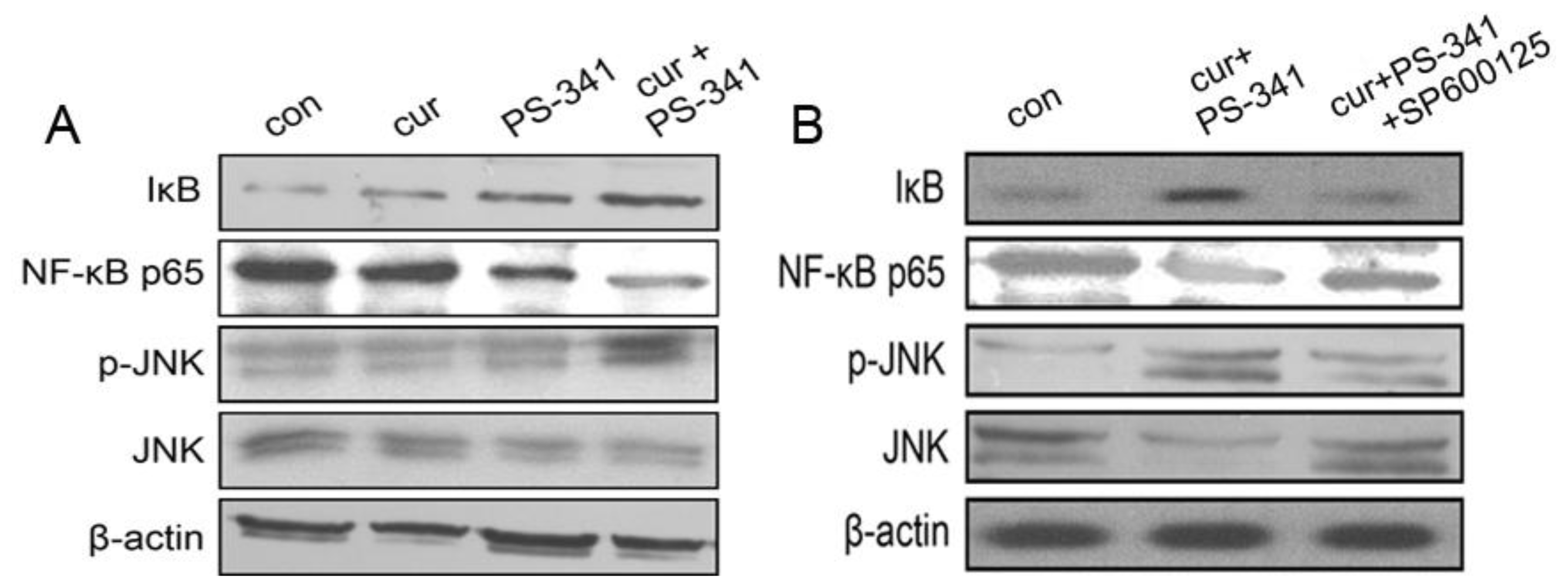 Ijms 13 04831f2