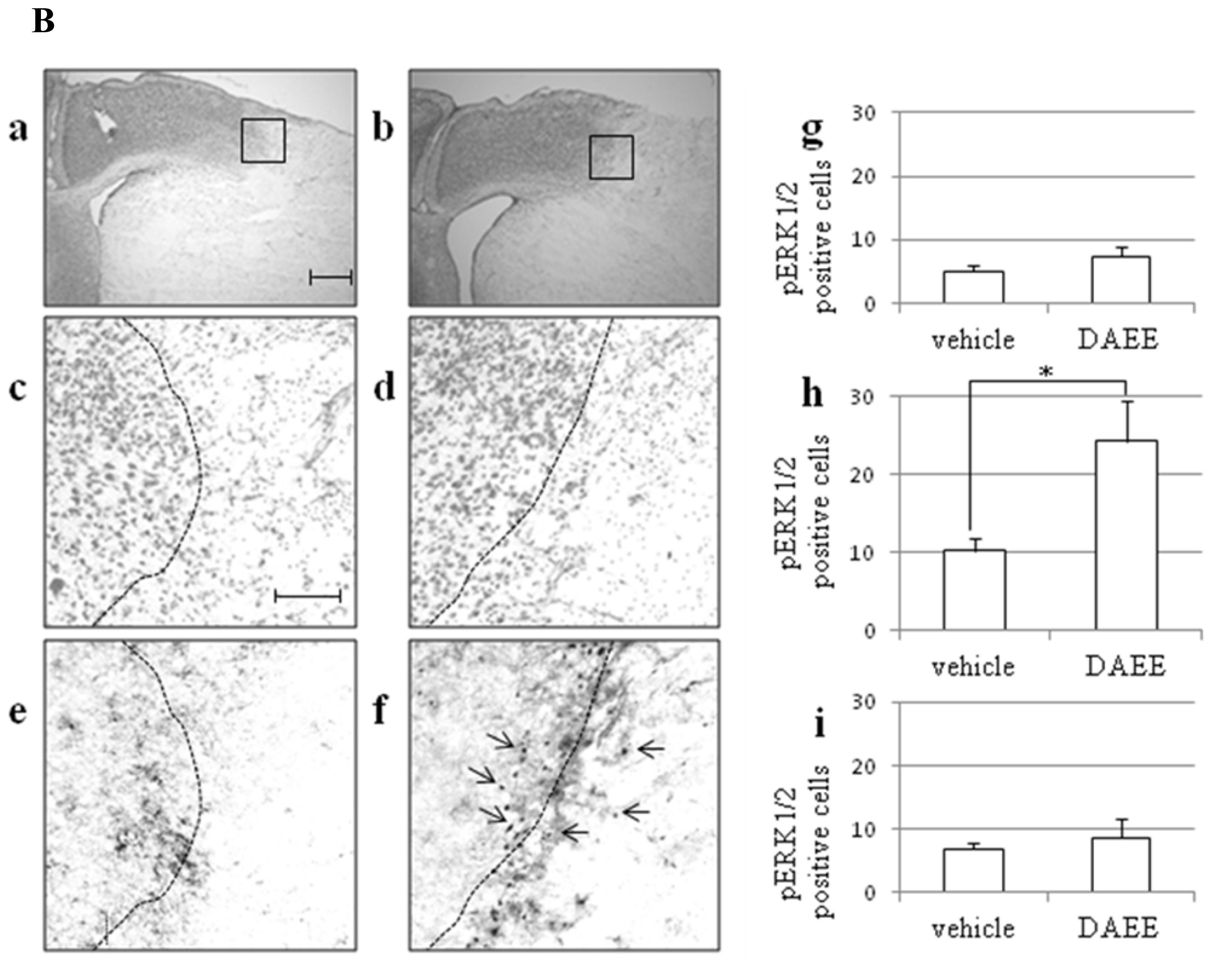 Ijms 13 04968f4b 1024