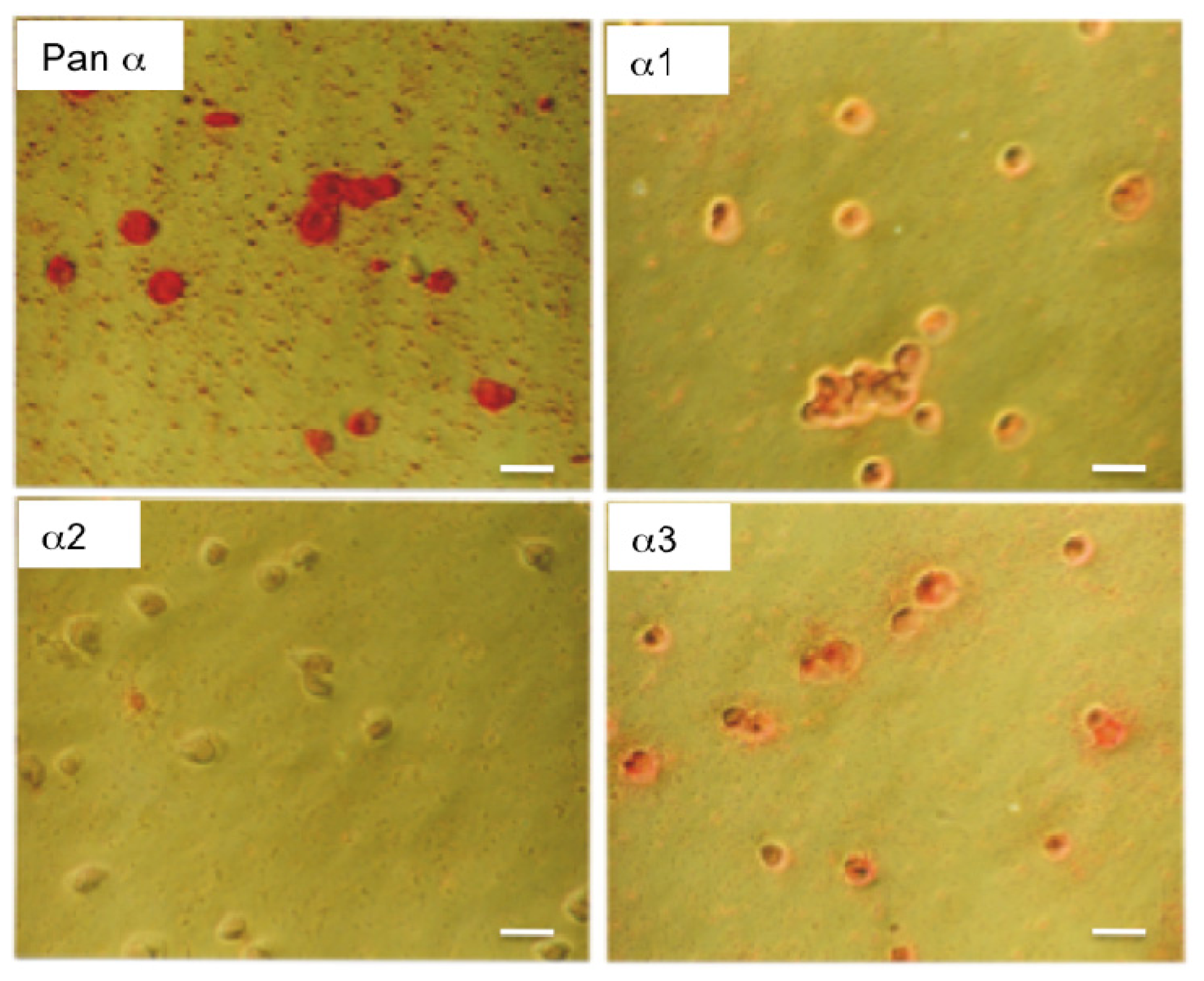 Ijms 13 05019f4 1024