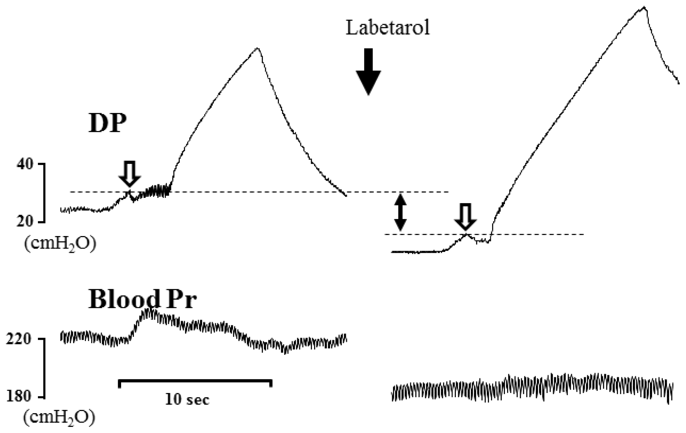 Ijms 13 05048f4 1024