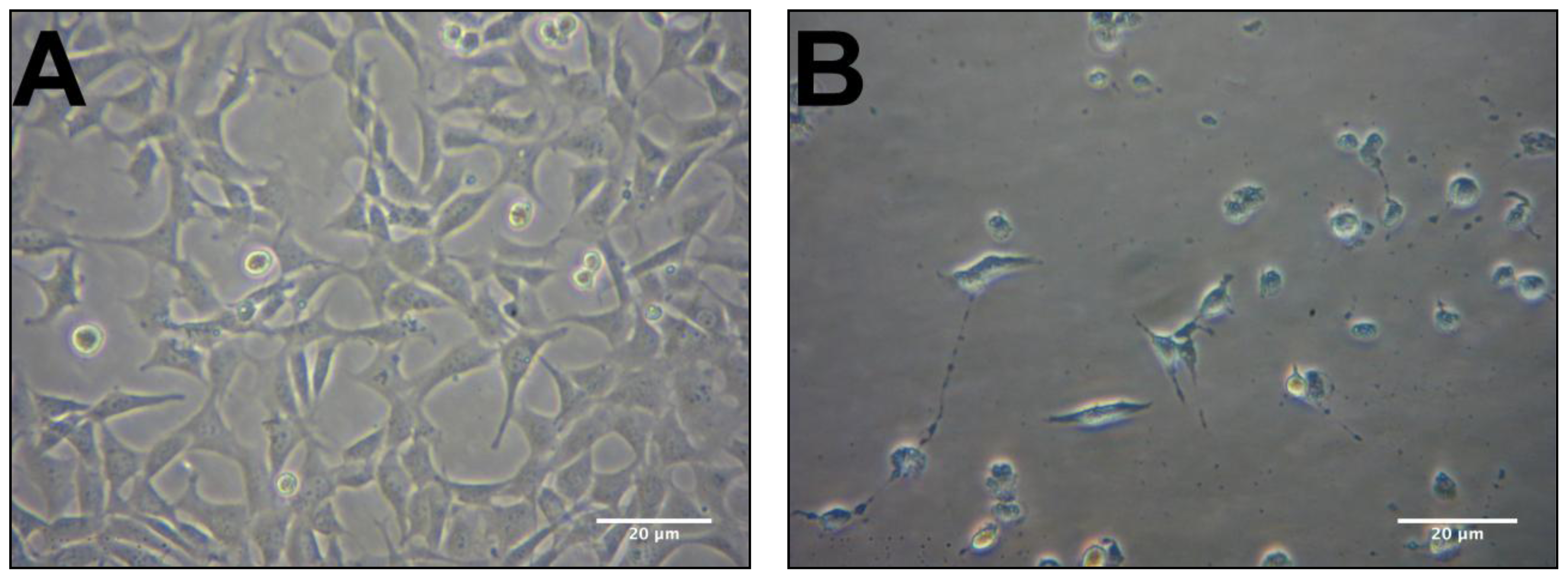 Ijms 13 05074f1a 1024