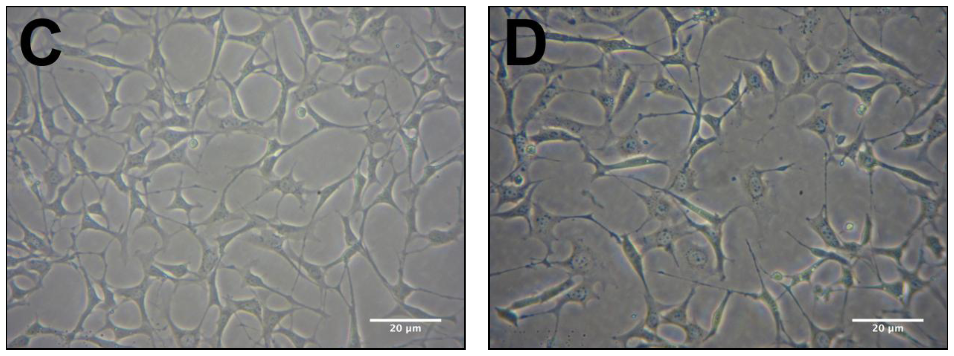 Ijms 13 05074f1b 1024