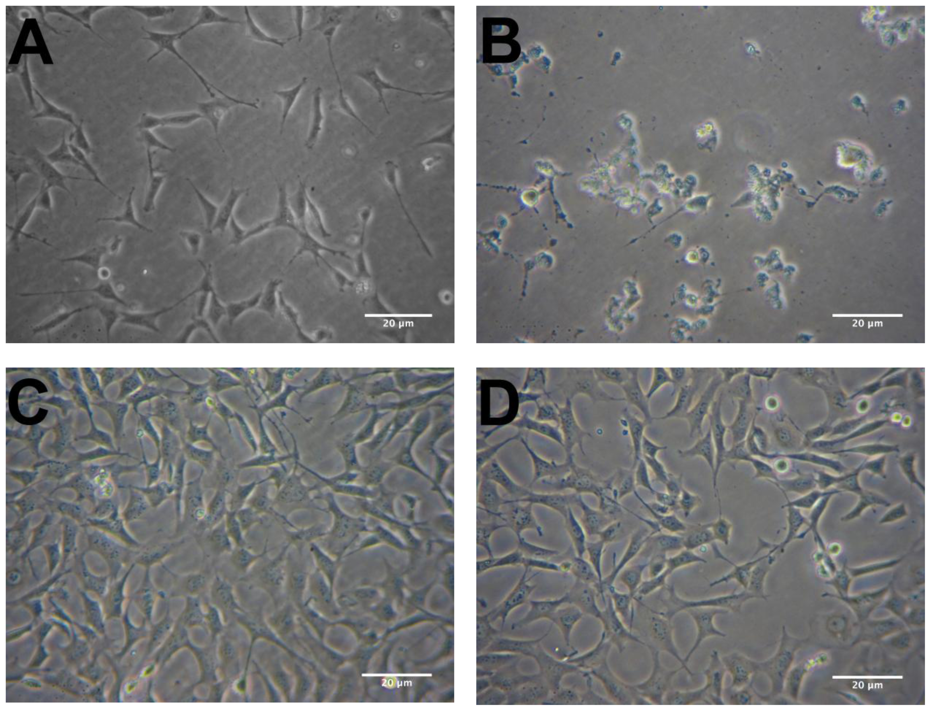 Ijms 13 05074f3 1024