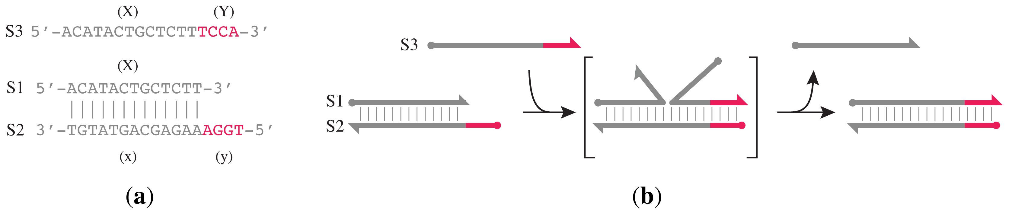 Ijms 13 05125f2 1024