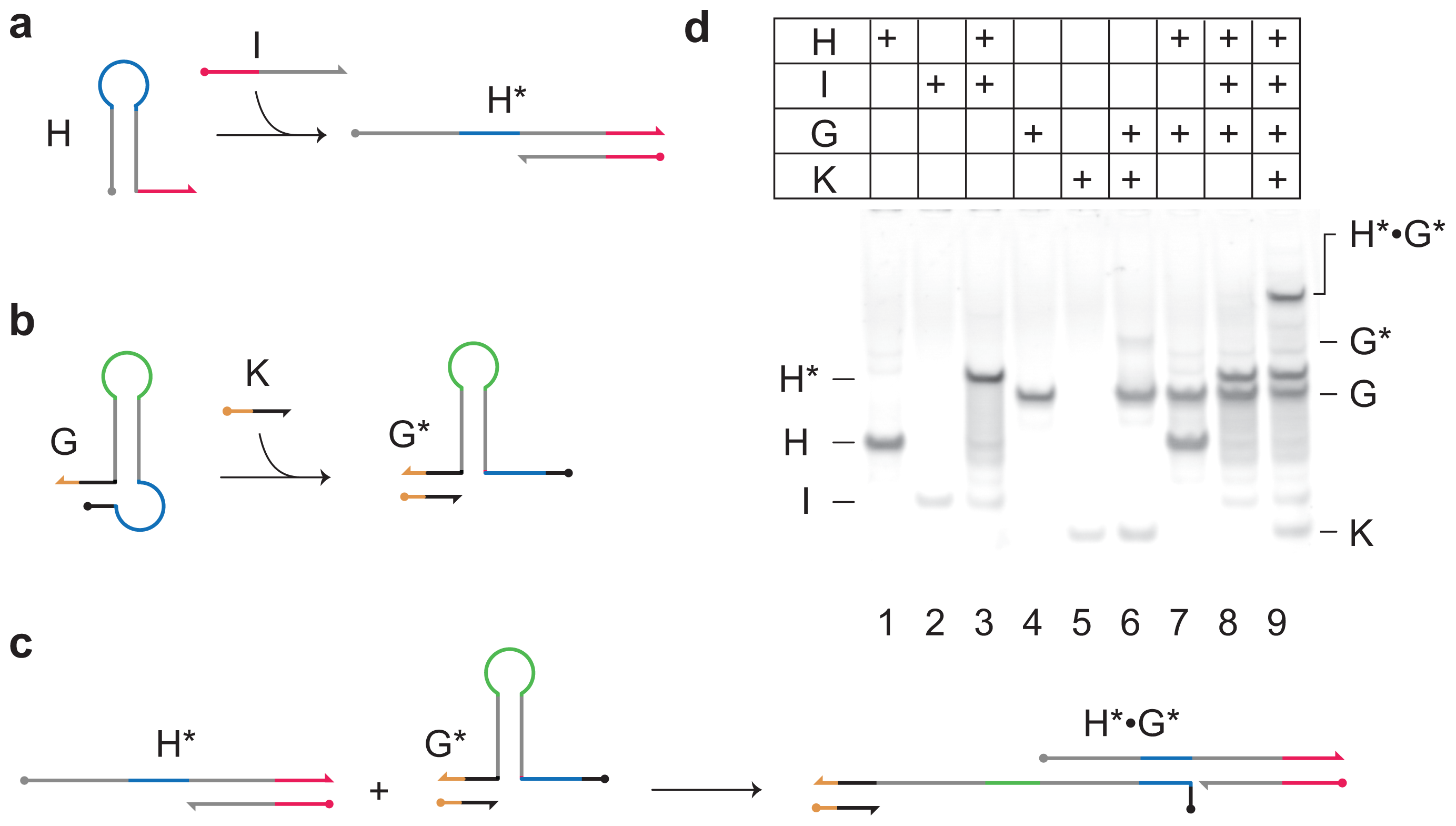 Ijms 13 05125f3 1024