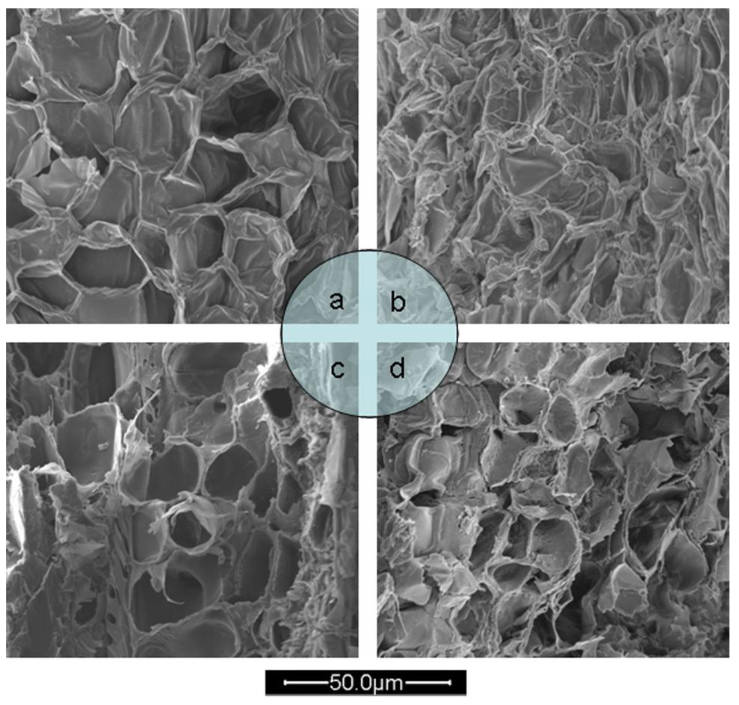 Ijms 13 05163f6 1024