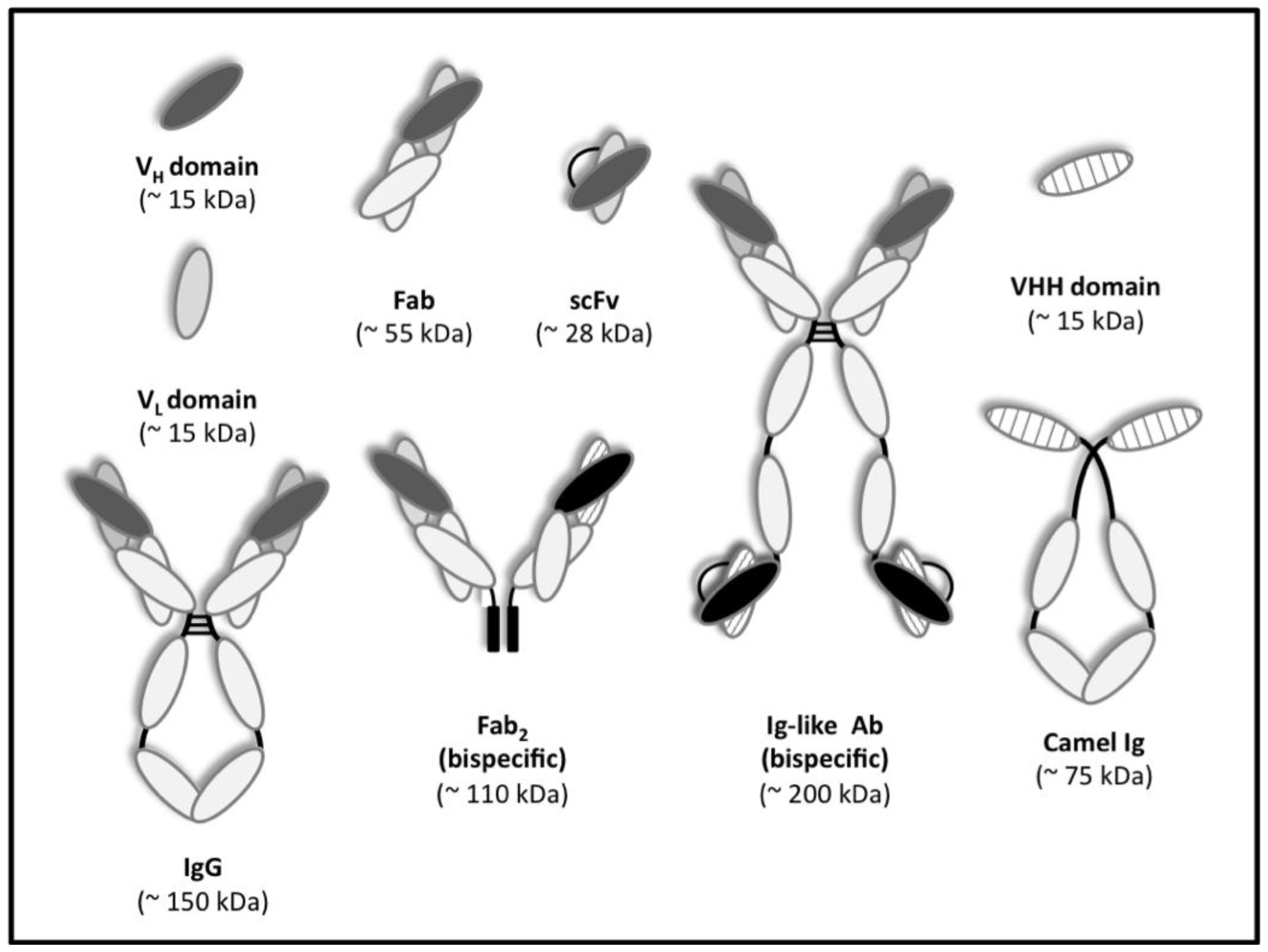 Ijms 13 05254f1 1024