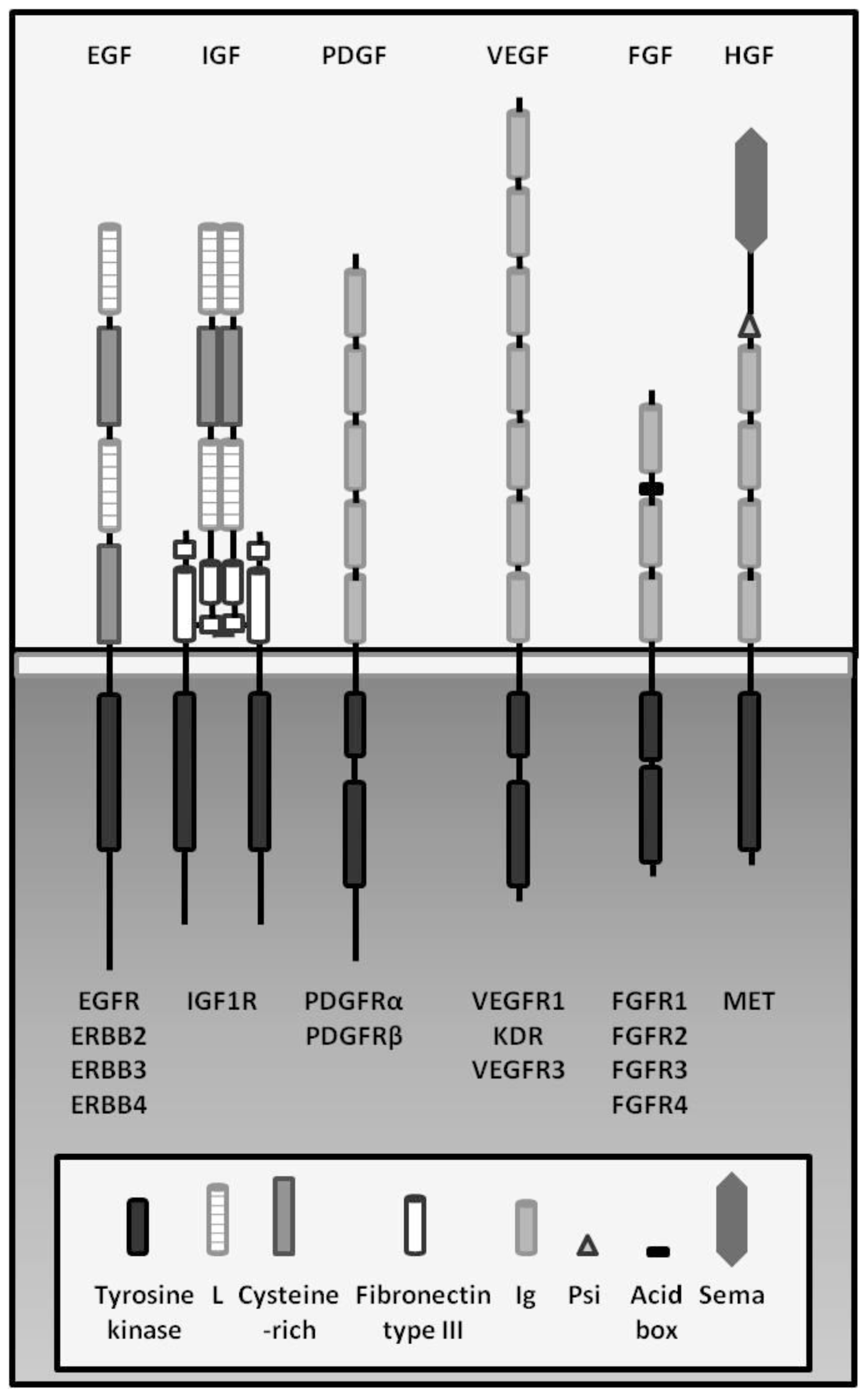 Ijms 13 05254f2 1024