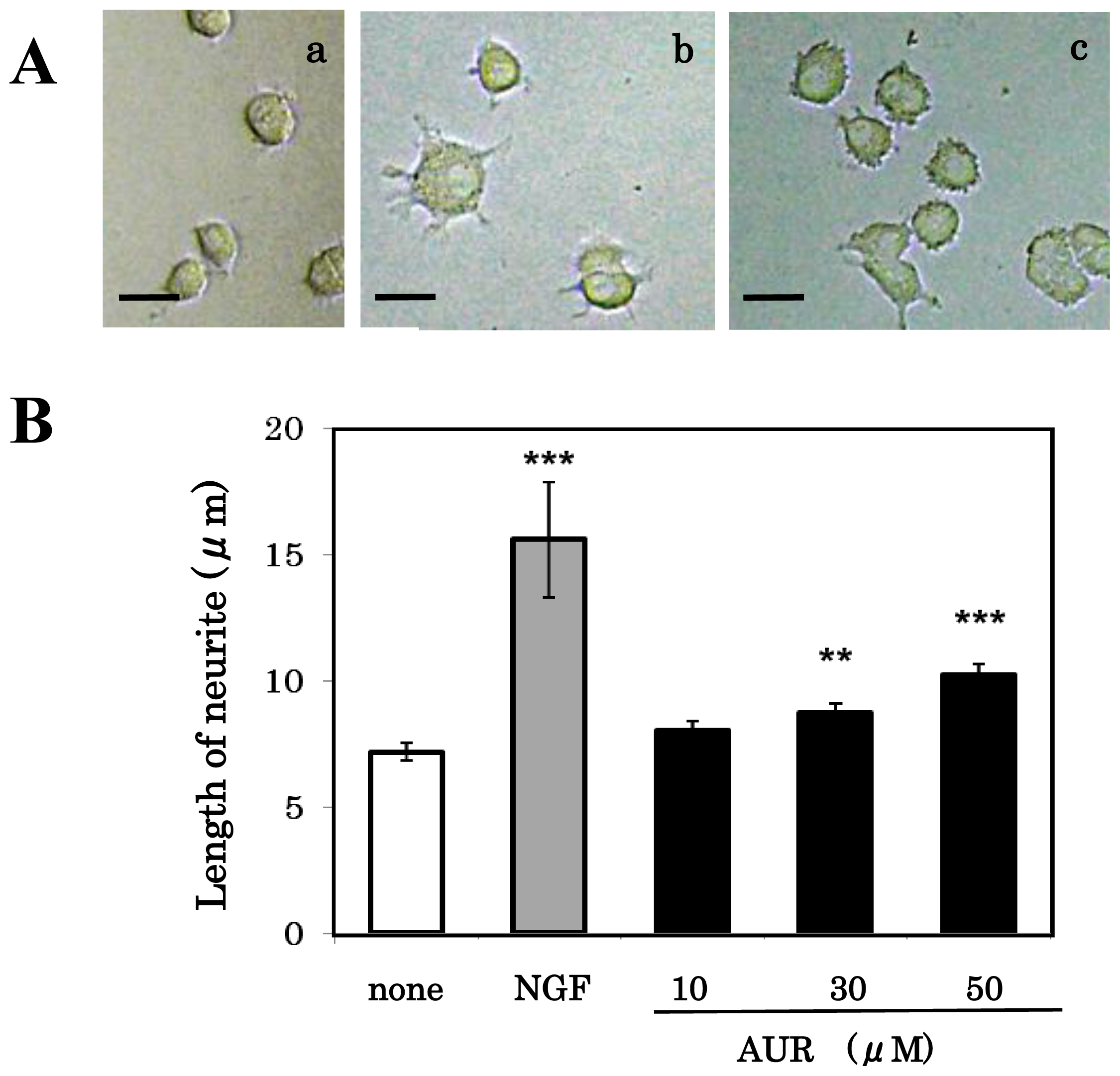 Ijms 13 05338f4 1024