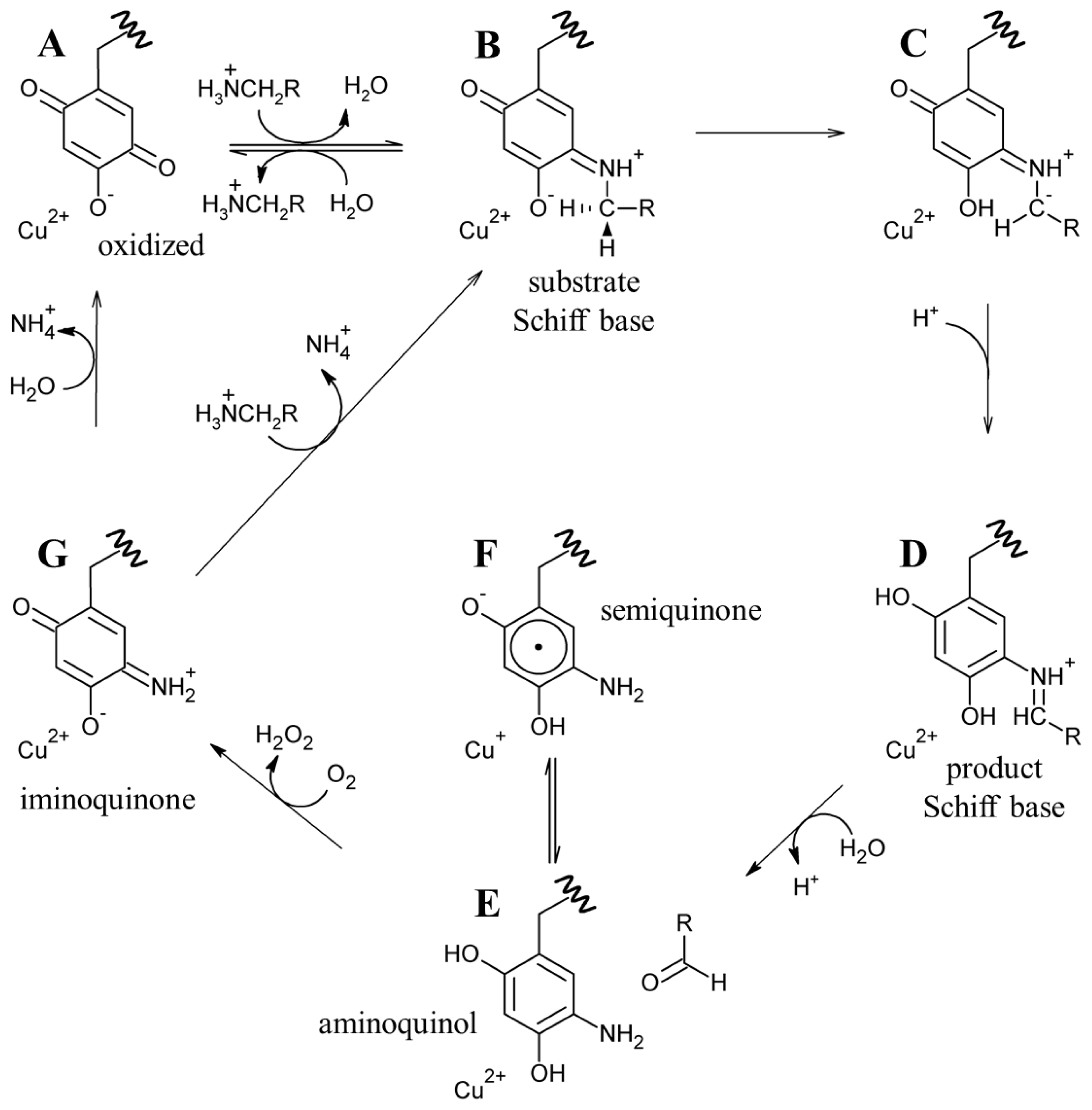 Ijms 13 05375f16 1024