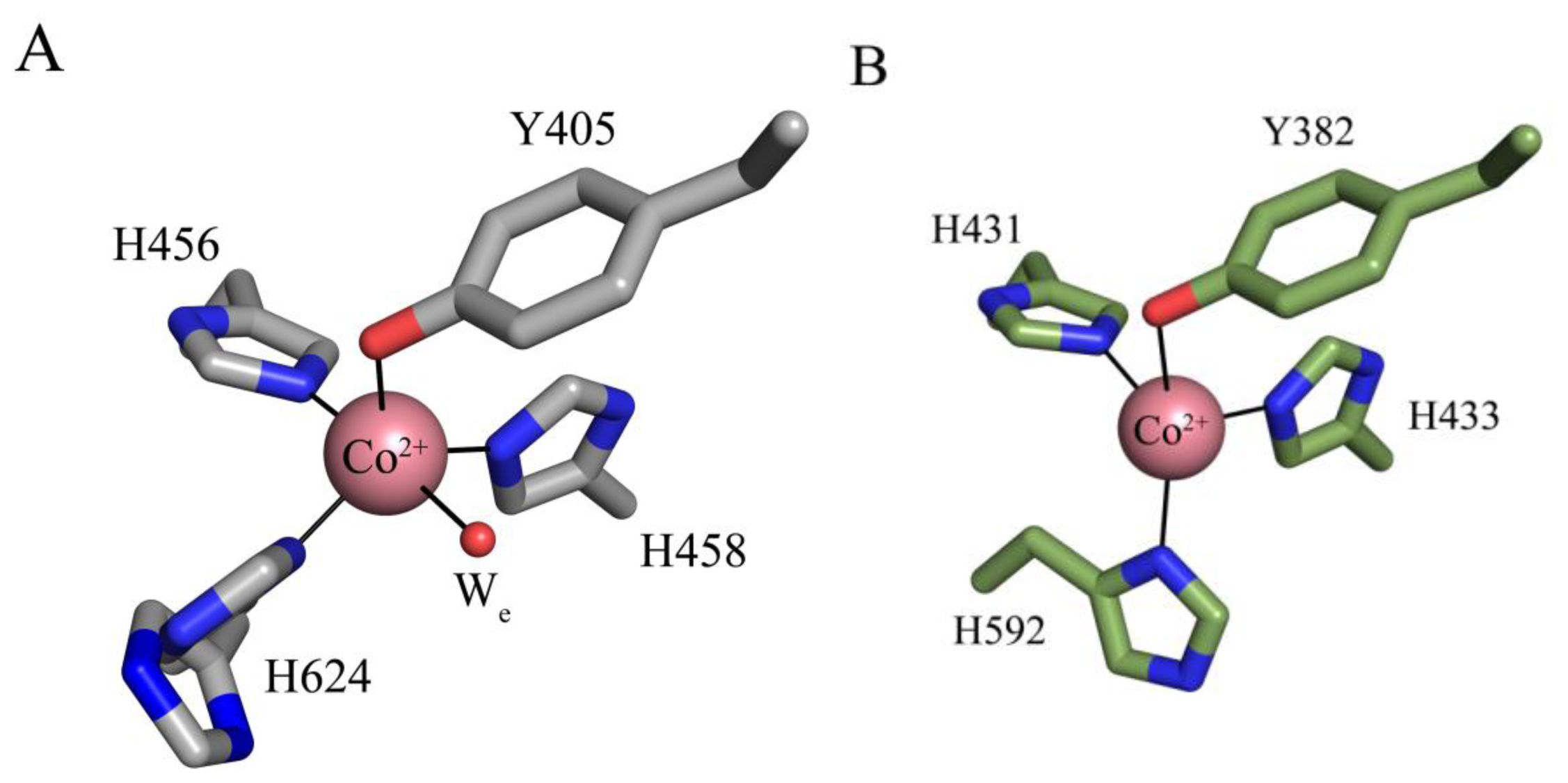 Ijms 13 05375f6 1024